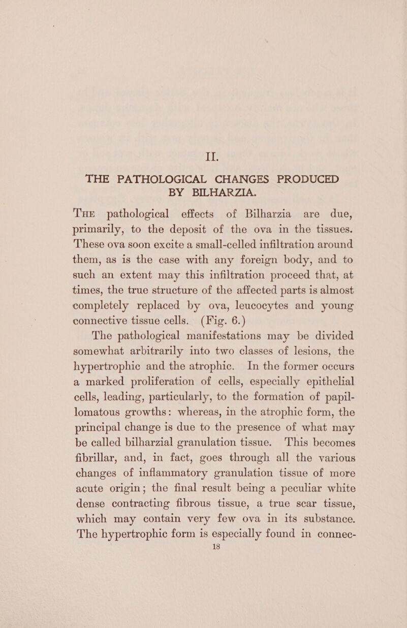 Le THE PATHOLOGICAL CHANGES PRODUCED BY BILHARZIA. THE pathological effects of Bilharzia are due, primarily, to the deposit of the ova in the tissues. These ova soon excite a small-celled infiltration around them, as is the case with any foreign body, and to such an extent may this infiltration proceed that, at times, the true structure of the affected parts is almost completely replaced by ova, leucocytes and young connective tissue cells. (Fig. 6.) The pathological manifestations may be divided somewhat arbitrarily into two classes of lesions, the hypertrophic and the atrophic. In the former occurs a marked proliferation of cells, especially epithelial cells, leading, particularly, to the formation of papil- lomatous growths: whereas, in the atrophic form, the principal change is due to the presence of what may be called bilharzial granulation tissue. This becomes fibrillar, and, in fact, goes through all the various changes of inflammatory granulation tissue of more acute origin; the final result being a peculiar white dense contracting fibrous tissue, a true scar tissue, which may contain very few ova in its substance. The hypertrophic form is especially found in connec-