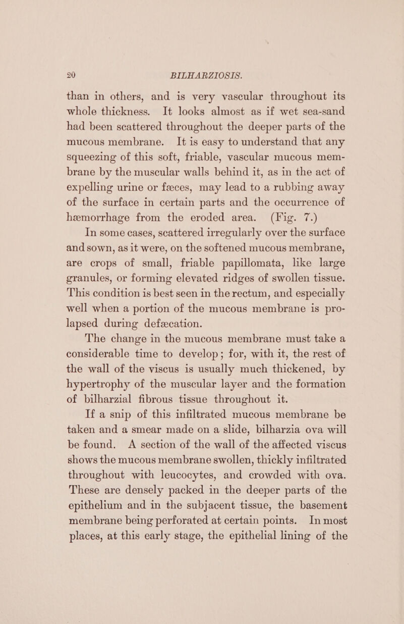 than in others, and is very vascular throughout its whole thickness. It looks almost as if wet sea-sand had been scattered throughout the deeper parts of the mucous membrane. It is easy to understand that any squeezing of this soft, friable, vascular mucous mem- brane by the muscular walls behind it, as in the act of expelling urine or feces, may lead to a rubbing away of the surface in certain parts and the occurrence of hemorrhage from the eroded area. (Fig. 7.) In some cases, scattered irregularly over the surface and sown, as it were, on the softened mucous membrane, are crops of small, friable papillomata, like large granules, or forming elevated ridges of swollen tissue. This condition is best seen in the rectum, and especially well when a portion of the mucous membrane is pro- lapsed during defecation. The change in the mucous membrane must take a considerable time to develop; for, with it, the rest of the wall of the viscus is usually much thickened, by hypertrophy of the muscular layer and the formation of bilharzial fibrous tissue throughout it. If a snip of this infiltrated mucous membrane be taken and a smear made on a slide, bilharzia ova will be found. A section of the wall of the affected viscus shows the mucous membrane swollen, thickly infiltrated throughout with leucocytes, and crowded with ova. These are densely packed in the deeper parts of the epithelium and in the subjacent tissue, the basement membrane being perforated at certain points. In most places, at this early stage, the epithelial lining of the
