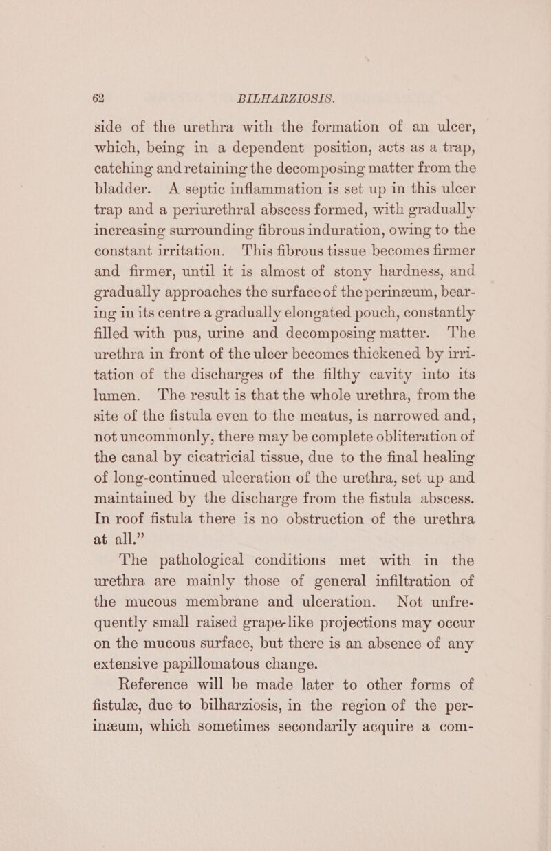 side of the urethra with the formation of an ulcer, which, being in a dependent position, acts as a trap, catching and retaining the decomposing matter from the bladder. &lt;A septic inflammation is set up in this ulcer trap and a periurethral abscess formed, with gradually increasing surrounding fibrous induration, owing to the constant irritation. This fibrous tissue becomes firmer and firmer, until it is almost of stony hardness, and gradually approaches the surface of the perinzeum, bear- ing in its centre a gradually elongated pouch, constantly filled with pus, urine and decomposing matter. The urethra in front of the ulcer becomes thickened by 1:ri- tation of the discharges of the filthy cavity into its lumen. ‘The result is that the whole urethra, from the site of the fistula even to the meatus, is narrowed and, not uncommonly, there may be complete obliteration of the canal by cicatricial tissue, due to the final healing of long-continued ulceration of the urethra, set up and maintained by the discharge from the fistula abscess. In roof fistula there is no obstruction of the urethra at all.” The pathological conditions met with in the urethra are mainly those of general infiltration of the mucous membrane and ulceration. Not unfre- quently small raised grape-like projections may occur on the mucous surface, but there is an absence of any extensive papillomatous change. Reference will be made later to other forms of fistulze, due to bilharziosis, in the region of the per- inzum, which sometimes secondarily acquire a com-