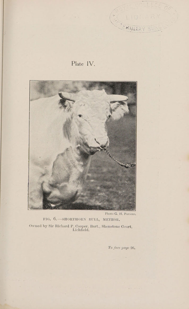 Plate IV. Owned by Sir Richard P. Cooper, Bart., Shenstone Court, Lichfield. To Jace page 26.