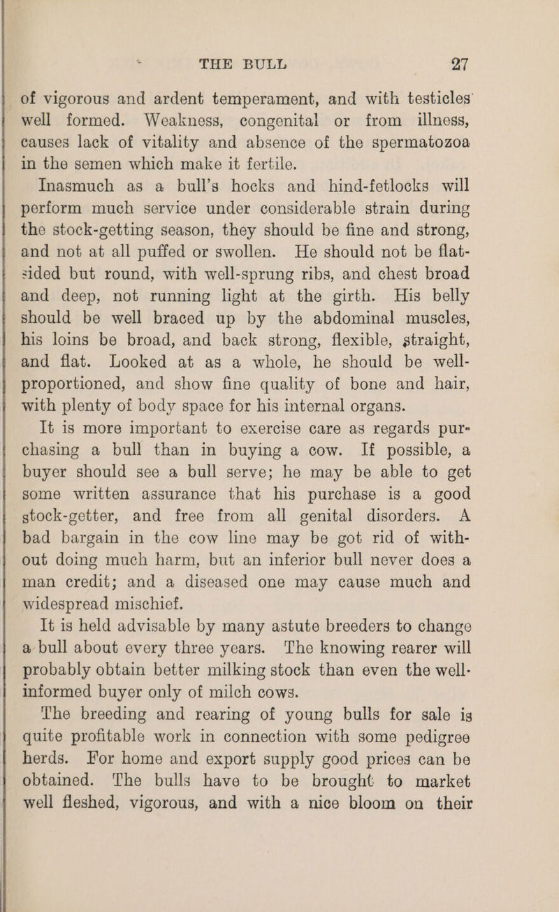 of vigorous and ardent temperament, and with testicles well formed. Weakness, congenital or from illness, causes lack of vitality and absence of the spermatozoa in the semen which make it fertile. Inasmuch as a bull’s hocks and hind-fetlocks will perform much service under considerable strain during the stock-getting season, they should be fine and strong, and not at all puffed or swollen. He should not be flat- sided but round, with well-sprung ribs, and chest broad and deep, not running light at the girth. His belly should be well braced up by the abdominal muscles, his loins be broad, and back strong, flexible, straight, and flat. Looked at as a whole, he should be well- proportioned, and show fine quality of bone and hair, with plenty of body space for his internal organs. It is more important to exercise care as regards pure chasing a bull than in buying a cow. If possible, a buyer should see a bull serve; he may be able to get some written assurance that his purchase is a good gtock-getter, and free from all genital disorders. A bad bargain in the cow line may be got rid of with- out doing much harm, but an inferior bull never does a man credit; and a diseased one may cause much and widespread mischief. It is held advisable by many astute breeders to change a bull about every three years. The knowing rearer will probably obtain better milking stock than even the well- informed buyer only of milch cows. The breeding and rearing of young bulls for sale ig quite profitable work in connection with some pedigree herds. For home and export supply good prices can be obtained. The bulls have to be brought to market well fleshed, vigorous, and with a nice bloom on their