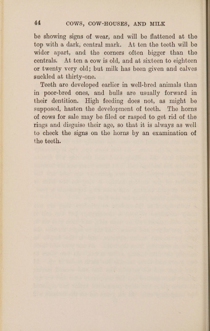 be showing signs of wear, and will be flattened at the top with a dark, central mark. At ten the teeth will be wider apart, and the corners often bigger than the centrals. At ten a cow is old, and at sixteen to eighteen or twenty very old; but milk has been given and calves suckled at thirty-one. Teeth are developed earlier in well-bred animals than in poor-bred ones, and bulls are usually forward in their dentition. High feeding does not, as might be supposed, hasten the development of teeth. The horns of cows for sale may be filed or rasped to get rid of the rings and disguise their age, so that it is always as well to check the signs on the horns by an examination of the teeth.