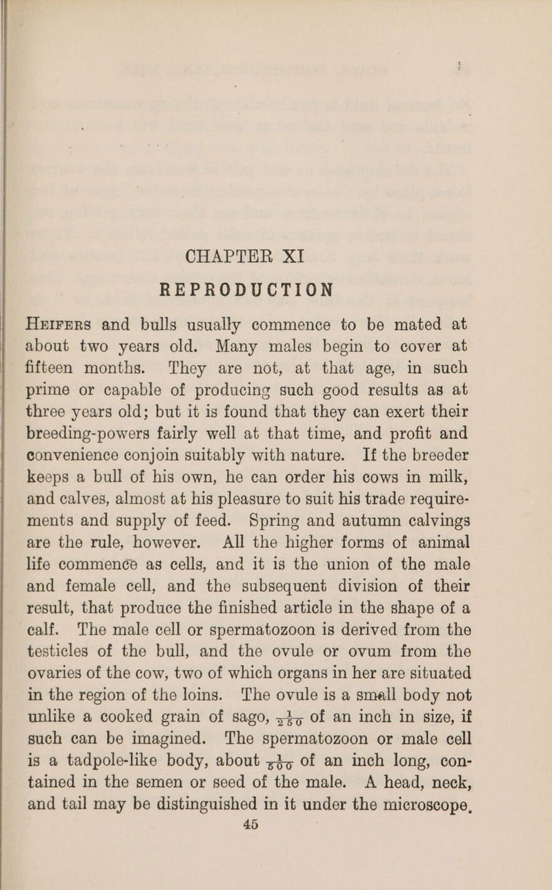 REPRODUCTION Heirers and bulls usually commence to be mated at about two years old. Many males begin to cover at fifteen months. They are not, at that age, in such prime or capable of producing such good results as at three years old; but it is found that they can exert their breeding-powers fairly well at that time, and profit and convenience conjoin suitably with nature. If the breeder keeps a bull of his own, he can order his cows in milk, and calves, almost at his pleasure to suit his trade require- ments and supply of feed. Spring and autumn calvings are the rule, however. All the higher forms of animal life commenée as cells, and it 1s the union of the male and female cell, and the subsequent division of their result, that produce the finished article in the shape of a calf. The male cell or spermatozoon is derived from the testicles of the bull, and the ovule or ovum from the ovaries of the cow, two of which organs in her are situated in the region of the loins. ‘The ovule is a small body not unlike a cooked grain of sago, 54, of an inch in size, if such can be imagined. The spermatozoon or male cell is a tadpole-like body, about 53, of an inch long, con- tained in the semen or seed of the male. <A head, neck, and tail may be distinguished in it under the microscope,