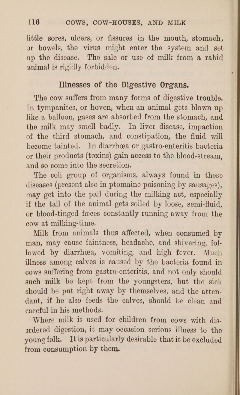 little sores, ulcers, or fissures in the mouth, stomach, or bowels, the virus might enter the system and set up the disease. The sale or use of milk from a rabid animal is rigidly forbidden. Ilinesses of the Digestive Organs. The cow suffers from many forms of digestive trouble. In tympanites, or hoven, when an animal gets blown up like a balloon, gases are absorbed from the stomach, and the milk may smell badly. In liver disease, impaction of the third stomach, and constipation, the fluid will become tainted. In diarrhea or gastro-enteritis bacteria or their products (toxins) gain access to the blood-stream, and so come into the secretion. The coli group of organisms, always found in these diseases (present also in ptomaine poisoning by sausages), may got into the pail during the milking act, especially if the tail of the animal gets soiled by loose, semi-fluid, or blood-tinged feces constantly running away from the cow at milking-time. Milk from animals thus affected, when consumed by man, may cause faintness, headache, and shivering, fol- lowed by diarrhoea, vomiting, and high fever. Much illness among calves is caused by the bacteria found in cows suffering from gastro-enteritis, and not only should such milk be kept from the youngsters, but the sick should be put right away by themselves, and the atten- dant, if he also feeds the calves, should be clean and careful in his methods. Where milk is used for children from cows with dis- ordered digestion, it may occasion serious illness to the young folk. Itis particularly desirable that it be excluded from consumption by them.