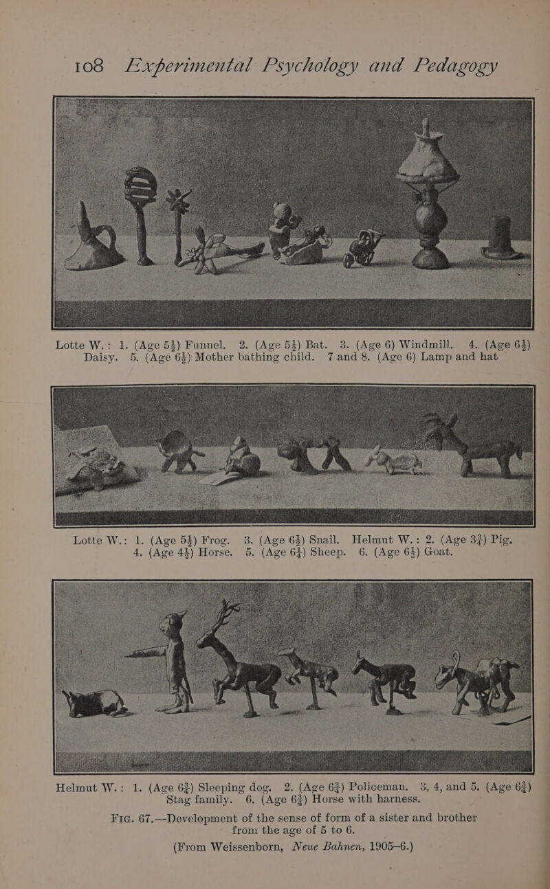 4) Daisy. 5. (Age 64) Mother bathing c ild. 7 and 8. (Age 6) Lamp and hat. 1. (Age 54) Frog. 3. (Age 63) Snail. Helmut W.: 2. (Age 3?) Pig. 4, (Age 44) Horse. 5. (Age 64) Sheep. 6. (Age 64) Goat. Fic. 67.—Development of the sense of form of a sister and brother from the age of 5 to 6. (From Weissenborn, Neue Bahnen, 1905-6.)