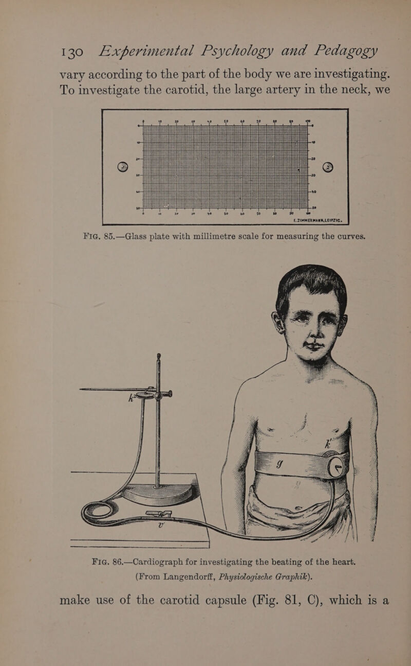 vary according to the part of the body we are investigating. To investigate the carotid, the large artery in the neck, we (From Langendorff, Phystologische Graphik). make use of the carotid capsule (Fig. 81, C), which is a