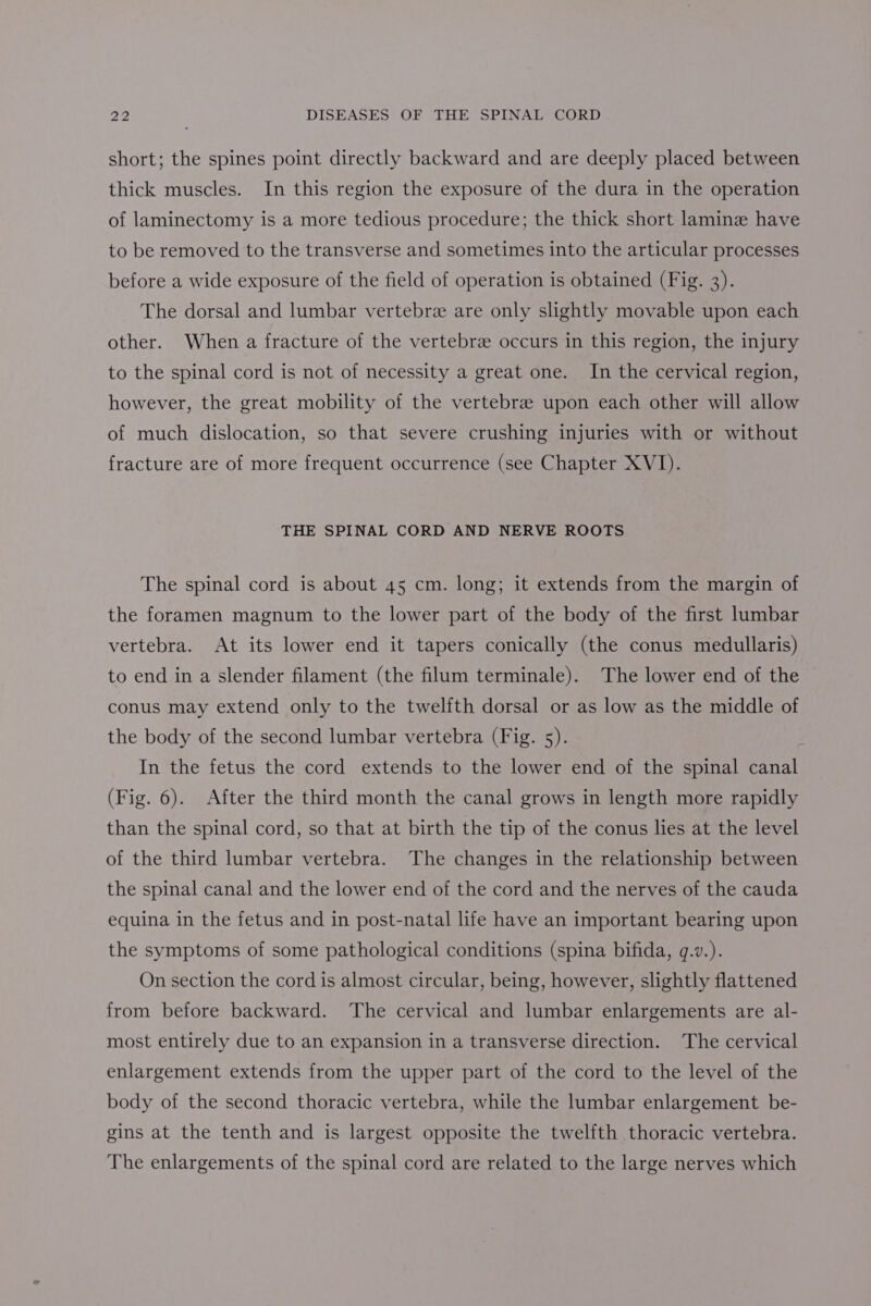 short; the spines point directly backward and are deeply placed between thick muscles. In this region the exposure of the dura in the operation of laminectomy is a more tedious procedure; the thick short lamine have to be removed to the transverse and sometimes into the articular processes before a wide exposure of the field of operation is obtained (Fig. 3). The dorsal and lumbar vertebre are only slightly movable upon each other. When a fracture of the vertebre occurs in this region, the injury to the spinal cord is not of necessity a great one. In the cervical region, however, the great mobility of the vertebree upon each other will allow of much dislocation, so that severe crushing injuries with or without fracture are of more frequent occurrence (see Chapter XVI). THE SPINAL CORD AND NERVE ROOTS The spinal cord is about 45 cm. long; it extends from the margin of the foramen magnum to the lower part of the body of the first lumbar vertebra. At its lower end it tapers conically (the conus medullaris) to end in a slender filament (the filum terminale). The lower end of the conus may extend only to the twelfth dorsal or as low as the middle of the body of the second lumbar vertebra (Fig. 5). In the fetus the cord extends to the lower end of the spinal canal (Fig. 6). After the third month the canal grows in length more rapidly than the spinal cord, so that at birth the tip of the conus lies at the level of the third lumbar vertebra. The changes in the relationship between the spinal canal and the lower end of the cord and the nerves of the cauda equina in the fetus and in post-natal life have an important bearing upon the symptoms of some pathological conditions (spina bifida, q.v.). On section the cord is almost circular, being, however, slightly flattened from before backward. The cervical and lumbar enlargements are al- most entirely due to an expansion in a transverse direction. The cervical enlargement extends from the upper part of the cord to the level of the body of the second thoracic vertebra, while the lumbar enlargement be- gins at the tenth and is largest opposite the twelfth thoracic vertebra. The enlargements of the spinal cord are related to the large nerves which