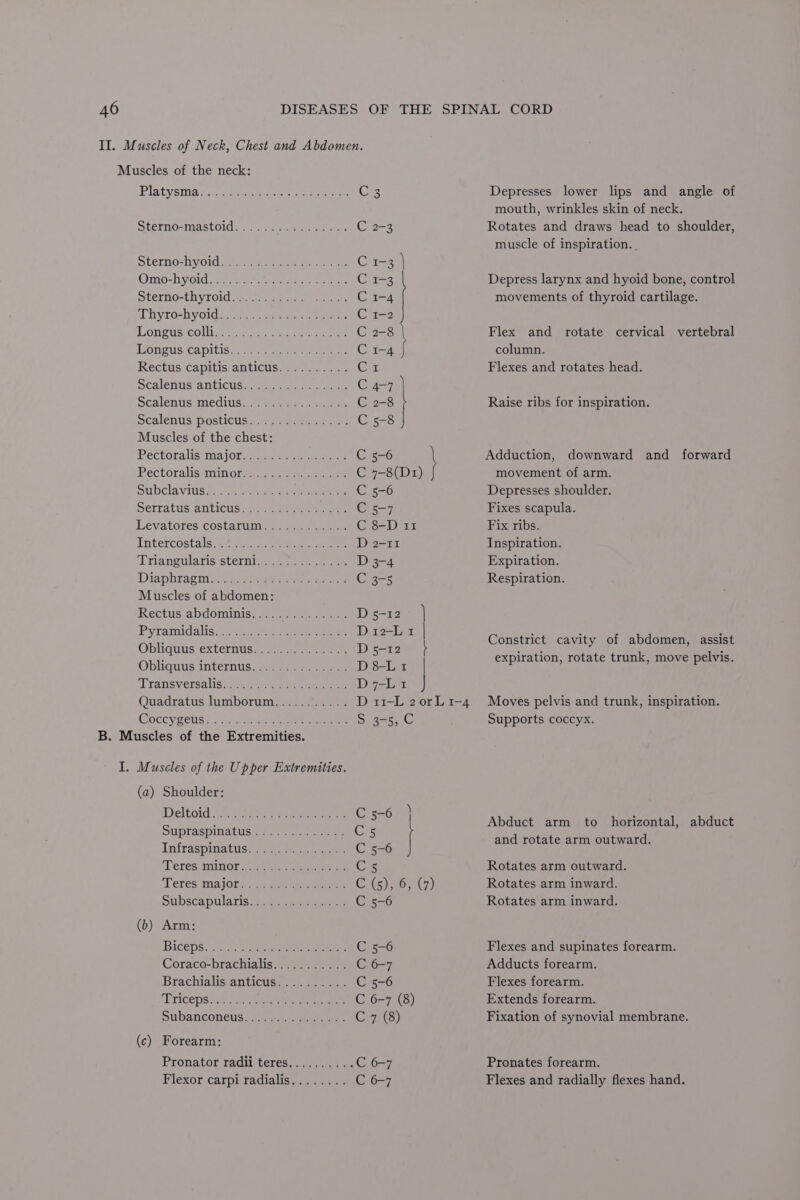 II. Muscles of Neck, Chest and Abdomen. Muscles of the neck: Platysiiadsurts acc ace een Ce Sterno-mastoldae ein eee C2-3 SLELNO=n'y.01C ae eee rer Cr-3 Qmo-hVold ever ier ar Car-3 Sterno=th yr 01d ey yee ane ee nee C 1-4 AM stag eC a sbecoWa tobias Sun (Cae Wongustcolligeas amen eee C 2-8 Gongs Capi bic seen ena C4 Rectus capitis anticus.......... C1 Scalenus anticu san sense Cal Scalenis:medius..7. aces sc. sys Ci2-8 } SCALENUS POStiCUS aggre C 5-8 } Muscles of the chest: FectoralistmajOrse eerie C 5-6 1 Pectoralis minorenuc serous C 7-8(D1) J ubclavitises > cess ee eee ee C 5-6 Serratus anticuc er eee C7 hevatores costaruier nen C 8-D 11 Tntercostals:-.q.scena mt ae D 2-11 Lnangulanisistern eee D 3-4 Diaphragm een C3-5 Muscles of abdomen: Rettus abdomints-mo nese D 5-12 | Pyramidalis.” i: ena cerangeinen Dr2-L1 | Obliquus externuss:.-..eer eer Ds-12 } Obliquus internus......°......- D8-Li Transversalishs nor aes D7-Li Quadratus lumborum........... D 11-L 2 or L 1-4 COCCys Cl1S Baer iar ine aan Saad AC: B. Muscles of the Extremities. I. Muscles of the Upper Extremities. (a) Shoulder: Delthidiy, (ese un ree aeee C 5-6 | SUplaspinatiisme ee eee (C55 Infraspinatusn. Saas cae: C56 (Veres sini n OF wy er ea eee Ces ‘Teresymajor... eee (OMENE Gl Gp) Subscapularis*s eee C 5-6 (b) Arm: Biceps 2ey e's aieysece miner Cis=6 Coraco-brachialis........... C 6-7 Brachialis anticusss.. 2.7). C 5-6 Triceps 2a nee ee C 6-7 (8) SUDANCONEUS «1s eene nian Gar 7ate)) (c) Forearm: Pronator radii teres.......... C 6-7 Depresses lower lips and angle of mouth, wrinkles skin of neck. Rotates and draws head to shoulder, muscle of inspiration. | Depress larynx and hyoid bone, control movements of thyroid cartilage. Flex and rotate cervical vertebral column. Flexes and rotates head. Raise ribs for inspiration. Adduction, downward and forward movement of arm. Depresses shoulder. Fixes scapula. Fix ribs. Inspiration. Expiration. Respiration. Constrict cavity of abdomen, assist expiration, rotate trunk, move pelvis. Moves pelvis and trunk, inspiration. Supports coccyx. Abduct arm to horizontal, abduct and rotate arm outward. Rotates arm outward. Rotates arm inward. Rotates arm inward. Flexes and supinates forearm. Adducts forearm. Flexes forearm. Extends forearm. Fixation of synovial membrane. Pronates forearm. Flexes and radially flexes hand.