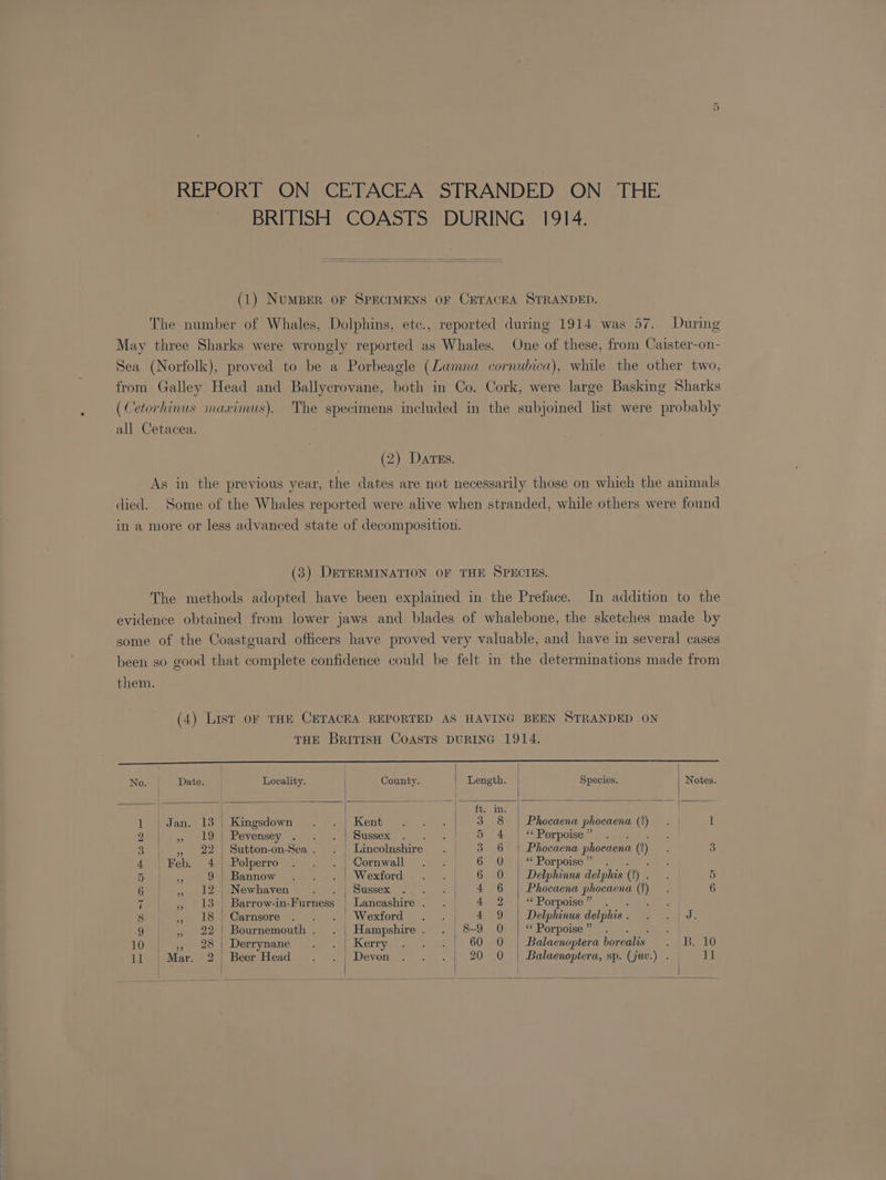 REPORT ON CETACEA STRANDED ON THE BRITISH COASTS DURING 1914. (1) NuMBER OF SPECIMENS OF CETACEA STRANDED. The number of Whales, Dolphins, etc., reported during 1914 was 57. During May three Sharks were wrongly reported as Whales. One of these, from Caister-on- Sea (Norfolk), proved to be a Porbeagle (Zamna cornubica), while the other two, from Galley Head and Ballyerovane, both in Co. Cork, were large Basking Sharks (Cetorhinus maxinus). The specimens included in the subjoined list were probably all Cetacea. (2) Dates. As in the previous year, the dates are not necessarily those on which the animals died. Some of the Whales reported were alive when stranded, while others were found in a more or less advanced state of decomposition. (3) DETERMINATION OF THE SPECTES. The methods adopted have been explained in the Preface. In addition to the evidence obtained from lower jaws and blades of whalebone, the sketches made by some of the Coastguard officers have proved very valuable, and have in several cases been so good that complete confidence could be felt in the determinations made from them. (4) List oF THE CETACEA REPORTED AS HAVING BEEN STRANDED ON THE British Coasts DURING 1914. No. Date. Locality. | County. | Length. Species. Notes. = | 1 | oe _| es ine 1 | Jan, 13 | Kingsdown Kent ; | 3 8 | Phocaena phocaena (2) 1 29 | , 19 | Pevensey ; | Sussex ; 5 4 | “ Porpoise ” 3 | ,, 22 | Sutton-on-Sea . Lincolnshire 3. 6 | Phocaena phoeaena () 3 4 | Feb. 4 | Polperro | Cornwall 6 &gt; 0+)“ Porpoise.” ‘ 5 Be 9 | Bannow Wexford 6 0 | Delphinus delphis ). 5 6 », 12 | Newhaven | Sussex 4 6 | Phocaena Lag (2) 6 7 ,, 13 | Barrow-in-Furness | Lancashire . 42 | “Porpoise”” 8 » 18 | Carnsore _ Wexford | 4 9 | Delphinus delphis eo 9 | ,, 22 | Bournemouth . Hampshire . | 8-9 0 | “ Porpoise ” 10 » 28 | Derrynane Kerry | 60 O | Balaenoptera borealis =» ee KG | | {