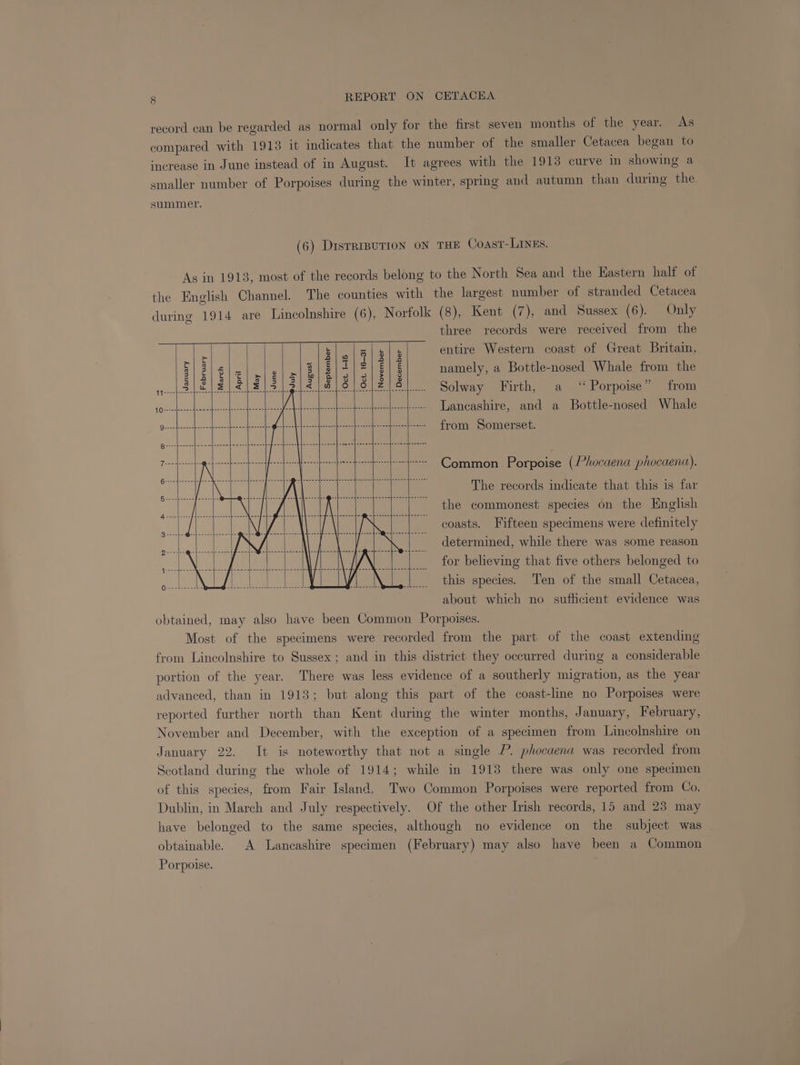 record can be regarded as normal only for the first seven months of the year. As compared with 1913 it indicates that the number of the smaller Cetacea began to increase in June instead of in August. It agrees with the 1913 curve in showing a smaller number of Porpoises during the winter, spring and autumn than during the. summer. (6) DistrrBuTion oN THE Coast-LINEs. As in 1913, most of the records belong to the North Sea and the Eastern half of the English Channel. The counties with the largest number of stranded Cetacea during 1914 are Lincolnshire (6), Nortolk (8), Kent (7), and Sussex (6). Only three records were received from the entire Western coast of Great Britain, namely, a Bottle-nosed Whale from the September Oct. 16-31 November December February March Oct. 1-15 Bob Wes Ur ae BLS Solway Firth, a ‘Porpoise” from $O-rsespnneefomecdenccadeatactnae stasis Lob sb econfeeenesfanstefeessssfecnenfennnedeacsen Lancashire, and a Bottle-nosed Whale a a me a ae S aia @ aioe ia: es ee (aaa from Somerset. guve[iceidles decoebes cpbheeahupsetiece tl ker lal giabe ee eee nme | ees Sars ie see eae rie ices ear ia ance Common Porpoise (Phocaena phocaena). eA The records indicate that this is far ee Be i sy. the commonest species on the English a Peis ih coasts. Fifteen specimens were definitely determined, while there was some reason N\_ ||... for believing that five others belonged to ee ole avs a \ : this species. Ten of the small Cetacea, about which no sufficient evidence was obtained, may also have been Common Porpoises. Most of the specimens were recorded from the part of the coast extending from Lincolnshire to Sussex; and in this district they occurred during a considerable portion of the year. There was less evidence of a southerly migration, as the year advanced, than in 1913; but along this part of the coast-line no Porpoises were reported further north than Kent during the winter months, January, February, November and December, with the exception of a specimen from Lincolnshire on January 22. It is noteworthy that not a single P. phocaena was recorded from Scotland during the whole of 1914; while in 1913 there was only one specimen of this species, from Fair Island. Two Common Porpoises were reported from Co. Dublin, in March and July respectively. Of the other Irish records, 15 and 23 may have belonged to the same species, although no evidence on the subject was obtainable. A Lancashire specimen (February) may also have been a Common Porpoise.