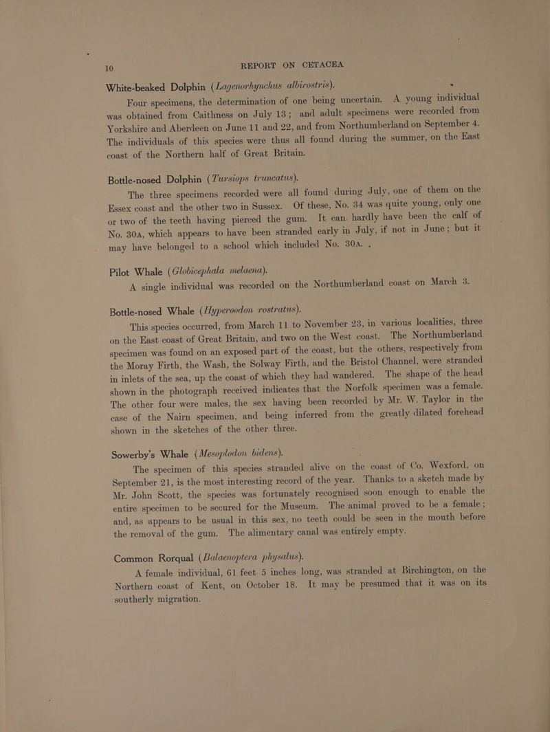 White-beaked Dolphin (Lagenorhynchus albirostris). ‘ Four specimens, the determination of one being uncertain. A young individual was obtained from Caithness on July 13; and adult specimens were recorded from Yorkshire and Aberdeen on June 11 and 22, and from Northumberland on September 4. The individuals of this species were thus all found during the summer, on the East coast of the Northern half of Great Britain. Bottle-nosed Dolphin (Tursiops truncatus). The three specimens recorded were all found during July, one of them on the Essex coast and the other two in Sussex. Of these, No. 34 was quite young, only one or two of the teeth having pierced the gum. It can. hardly have been the calf of No. 30a, which appears to have been stranded early in July, if not in June; but it may have belonged to a school which included No. 304. . Pilot Whale (Globicephala melaena). A single individual was recorded on the Northumberland coast on March 3. Bottle-nosed Whale (//yperoodon rostratus). This species occurred, from March 11 to November 23, in various localities, three on the East coast of Great Britain, and two on the West coast. The Northumberland specimen was found on an exposed part of the coast, but the others, respectively from the Moray Firth, the Wash, the Solway Firth, and the Bristol Channel, were stranded in inlets of the sea, up the coast of which they had wandered. The shape of the head shown in the photograph received indicates that the Norfolk specimen was a female. The other four were males, the sex having been recorded by Mr. W. Taylor in the case of the Nairn specimen, and being inferred from the greatly dilated forehead shown in the sketches of the other three. Sowerby’s Whale (Mesoplodon bidens). The specimen of this species stranded alive on the coast of Co. Wexford, on September 21, is the most interesting record of the year. Thanks to a sketch made by Mr. John Scott, the species was fortunately recognised soon enough to enable the entire specimen to be secured for the Museum. The animal proved to be a female ; and, as appears to be usual in this sex, no teeth could be seen in the mouth before the removal of the gum. The alimentary canal was entirely empty. Common Rorqual (Balaenoptera physalus). A female individual, 61 feet 5 inches long, was stranded at Birchington, on the Northern coast of Kent, on October 18. It may be presumed that it was on its southerly migration.