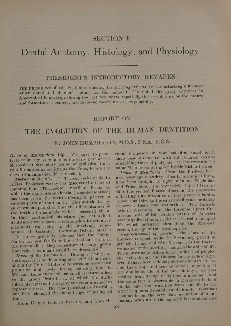 pr Dawn of Mammalian Life. We have to pene- trate to an age as remote as the early part of the Mesozoie or Secondary period of geological time, to a formation as ancient as the Trias, before the dawn of mammalian life is reached. Theriodont Reptiles. Yn Triassic rocks of South Africa, Professor Seeley has discovered a class of mammal-like (Theriodont) reptilian forms to which the name Anomodontia (irregular-toothed) has been given, the teeth differing in pattern in various parts of the mouth. This antieipates by an enormous period of time the differentiation in the teeth of mammals which succeeded them. In their anatomical structure and heterodont dentition they suggest a relationship to primitive mammals, especially to the surviving mono- tremes of Australia. Professor Osborn states : * It is now generally believed that the Therio- dontia are not far from the actual ancestors of the mammalia ; they constitute the only group Dawn of the Prototheria. During recent years and in the United States of America have revealed primitive and lowly forms, showing that in Mesozoic times there existed small creatures allied to the group Prototheria, of which the duck- billed platypus and the spiny ant-eater are modern representatives. The type persisted in Australia, but little changed throughout ages of geological time. From Keuper beds in Bavaria, and from the same formation in Somersetshire, small teeth have been discovered with tuberculated crowns resembling those of platypus ; to this creature the name Microlestes was given by Sir Richard Owen. Dawn of Metatheria. From the Purbeck bec near Swanage a variety of early marsupial form, have been brought to light, such as Plagiaulax and Triconodon ; the Stonesfield slate of Oxford- shire has yielded Phascolotherium, the specimens indicating tiny creatures of insectivorous habits, whose small size and greater intelligence probably preserved them from extinction. The Jurassic beds of Wyoming, and the Laramie Upper Cre- taceous beds of the United States of America have supplied similar evidence of a rich marsupial life, which persisted throughout the Mesozoic period, the age of the great reptiles. | Commencement of Eocene. The close of the Cretaceous epoch ends the Secondary period of geologieal time, and with the dawn of the Eocene we are met with a startling change in the order of life. The monstrous reptilian forms, which had peopled the earth, the air, and the seas for myriads of ages, seem to have been suddenly blotted out of existence, and there appeared true mammals, ancestors of the dominant life of the present day ; we pass straight from the age of reptiles to mammals, and the same fact is observable in European beds of similar age—the transition from one life to the other is apparently sudden and abrupt. Wortman comments on the very slow evolution of mam- malian forms up to the end of this period, so slow