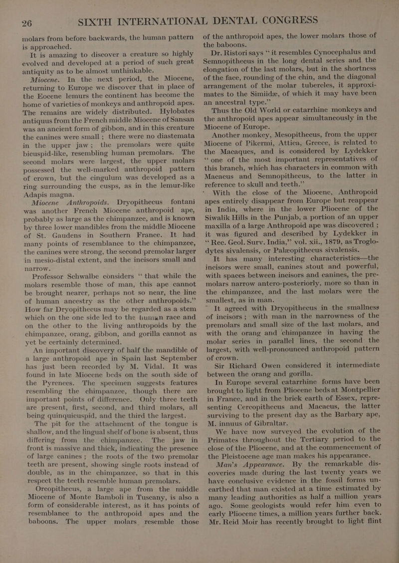 molars from before backwards, the human pattern is approached. It is amazing to discover a creature so highly evolved and developed at a period of such great antiquity as to be almost unthinkable. Miocene. In the next period, the Miocene, returning to Europe we discover that in place of the Eocene lemurs the continent has become the home of varieties of monkeys and anthropoid apes. The remains are widely distributed. Hylobates antiquus from the French middle Miocene of Sansan was an ancient form of gibbon, and in this creature the canines were small; there were no diastemata in the upper jaw; the premolars were quite bicuspid-like, resembling human premolars. The second molars were largest, the upper molars possessed the well-marked anthropoid pattern of crown, but the cingulum was developed as a ring surrounding the cusps, as in the lemur-like Adapis magna. Miocene Anthropoids. Dryopithecus fontani was another French Miocene anthropoid ape, probably as large as the chimpanzee, and is known by three lower mandibles from the middle Miocene of St. Gaudens in Southern France. It had many points of resemblance to the chimpanzee, the canines were strong, the second premolar larger in mesio-distal extent, and the incisors small and narrow. Professor Schwalbe considers ‘‘ that while the molars resemble those of man, this ape cannot be brought nearer, perhaps not so near, the line of human aneestry as the other anthropoids. How far Dryopithecus may be regarded as a stem which on the one side led to the human race and on the other to the living anthropoids by the chimpanzee, orang, gibbon, and gorilla cannot as yet be certainly determined. An important discovery of half the mandible of a large anthropoid ape in Spain last September has just been recorded by M. Vidal. It was found in late Miocene beds on the south side of the Pyrenees. The specimen suggests features resembling the chimpanzee, though there are important points of difference. Only three teeth are present, first, second, and third molars, all being quinquicuspid, and the third the largest. The pit for the attachment of the tongue is shallow, and the lingual shelf of bone is absent, thus differing from the chimpanzee. The jaw in front is massive and thick, indicating the presence of large canines ; the roots of the two premolar teeth are present, showing single roots instead of double, as in the chimpanzee, so that in this respect the teeth resemble human premolars. Oreopithecus, a large ape from the middle Miocene of Monte Bamboli in Tuscany, is also a form of considerable interest, as it has points of resemblance to the anthropoid apes and the baboons. The upper molars resemble those of the anthropoid apes, the lower molars those of the baboons. | Dr. Ristori says ** it resembles Cynocephalus and Semnopithecus in the long dental series and. the elongation of the last molars, but in the shortness of the face, rounding of the chin, and the diagonal arrangement of the molar tubercles, it approxi- mates to the Simiidæ, of which it may have been an ancestral type. Thus the Old World or catarrhine monkeys and the anthropoid apes appear simultaneously in the Miocene of Europe. Another monkey, Mesopithecus, from the upper the Macaques, and is considered by Lydekker * one of the most important representatives of this branch, which has characters in common with Macacus and Semnopithecus, to the latter in reference to skull and teeth. With the close of the Miocene, Anthropoid apes entirely disappear from Europe but reappear in India, where in the lower Pliocene of the Siwalik Hills in the Punjab, a portion of an upper maxilla of a large Anthropoid ape was discovered ; it was figured and described by Lydekker in ** Rec. Geol. Surv. India,” vol. xii., 1879, as Troglo- dytes sivalensis, or Palæopithecus sivalensis. It has many interesting characteristies—the incisors were small, canines stout and powerful, with spaces between incisors and canines, the pre- molars narrow antero-posteriorly, more so than in the chimpanzee, and the last molars were the smallest, as in man. It agreed with Dryopithecus in the smallness of incisors ; with man in the narrowness of the premolars and small size of the last molars, and with the orang and chimpanzee in having the molar series in parallel lines, the second: the largest, with well-pronounced anthropoid pattern of crown. Sir Richard Owen considered it intermediate between the orang and gorilla. | In Europe several catarrhine forms have been brought to light from Pliocene beds at Montpellier in France, and in the brick earth of Essex, repre- senting Cercopithecus and Macacus, the latter surviving to the present day as the Barbary ape, M. innuus of Gibraltar. ; We have now surveyed the evolution of the Primates throughout the Tertiary period to the close of the Pliocene, and at the commencement of the Pleistocene age man makes his appearance. Maws Appearance. By the remarkable dis- coveries made during the last twenty years we have conclusive evidence in the fossil forms un- earthed that man existed at a time estimated by many leading authorities as half a million years ago. Some geologists would refer him even to early Pliocene times, a million years further back. Mr. Reid Moir has recently brought to light flint
