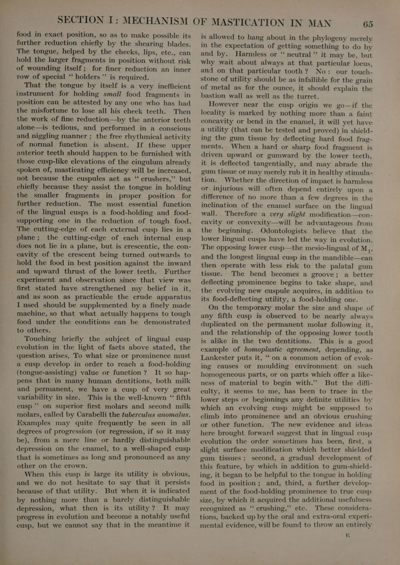 further reduction chiefly by the shearing blades. The tongue, helped by the cheeks, lips, ete., can hold the larger fragments in position without risk of wounding itself; for finer reduction an inner row of special ** holders  is required. That the tongue by itself is a very inefficient instrument for holding small food fragments in position can be attested by any one who has had the misfortune to lose all his cheek teeth. Then the work of fine reduction—by the anterior teeth alone—is tedious, and performed in a conscious and niggling manner ; the free rhythmical activity of normal function is absent. If these upper anterior teeth should happen to be furnished with those cusp-like elevations of the cingulum already spoken of, masticating efficiency will be increased, not because the cuspules act as 7 crushers,’ but chiefly because they assist the tongue in holding the smaller fragments in proper position for further reduction. The most essential function of the lingual eusps is a food-holding and food- supporting one in the reduction of tough food. The cutting-edge of each external cusp lies in a plane; the cutting-edge of each internal cusp does not lie in a plane, but is crescentic, the con- cavity of the crescent being turned outwards to hold the food in best position against the inward and upward thrust of the lower teeth. Further experiment and observation since that view was _ first stated have strengthened my belief in it, and as soon as practicable the crude apparatus I used should be supplemented by a finely made machine, so that what actually happens to tough food under the conditions can be demonstrated to others. Touching briefly the subject of lingual cusp evolution in the light of facts above stated, the question arises, To what size or prominence must a eusp develop in order to reach a food-holding (tongue-assisting) value or function ? It so hap- pens that in many human dentitions, both milk and permanent, we have a cusp of very great variability in size. This is the well-known * fifth eusp  on superior first molars and second milk molars, called by Carabelli the tuberculus anomalus. Examples may quite frequently be seen in all degrees of progression (or regression, if so it may be), from a mere line or hardly distinguishable depression on the enamel, to a well-shaped cusp that is sometimes as long and pronounced as any other on the crown. When this cusp is large its utility is obvious, and we do not hesitate to say that it persists because of that utility. But when it is indicated by nothing more than a barely distinguishable depression, what then is its utility ? It may progress in evolution and become a notably useful eusp, but we cannot say that in the meantime it 65 is allowed to hang about in the phylogeny merely in the expectation of getting something to do by and by. Harmless or * neutral it may be, but why wait about always at that particular locus, and on that particular tooth ? No: our touch- stone of utility should be as infallible for the grain of metal as for the ounce, it should explain the bastion wall as well as the turret. However near the cusp origin we go--if the locality is marked by nothing more than a faint concavity or bend in the enamel, it will yet have a utility (that can be tested and proved) in shield- ing the gum tissue by deflecting hard food frag- ments. When a hard or sharp food fragment is driven upward or gumward by the lower teeth, it is deflected tangentially, and may abrade the gum tissue or may merely rub it in healthy stimula- tion. Whether the direction of impact is harmless or injurious will often depend entirely upon a difference of no more than a few degrees in the inclination of the enamel surface on the lingual wall. Therefore a very slight modification—con- cavity or convexity—will be advantageous from the beginning. Odontologists believe that the lower lingual cusps have led the way in evolution. The opposing lower cusp—the mesio-lingual of M 1* and the longest lingual cusp in the mandible—can then operate with less risk to the palatal gum tissue. The bend becomes a groove ; a better deflecting prominence begins to take shape, and the evolving new cuspule acquires, in addition to its food-deflecting utility, a food-holding one. On the temporary molar the size and shape of any fifth cusp is observed to be nearly always duplieated on the permanent molar following it, and the relationship of the opposing lower tooth is alike in the two dentitions. This is a good example of homoplastic agreement, depending, as Lankester puts it, * on a common action of evok- ing eauses or moulding environment on such homogeneous parts, or on parts which offer a like- ness of material to begin with. But the diffi- culty, it seems to me, has been to trace in the lower steps or beginnings any definite utilities by which an evolving cusp might be supposed to climb into prominence and an obvious crushing or other function. The new evidence and ideas here brought forward suggest that in lingual cusp evolution the order sometimes has been, first, a slight surface modification which better shielded gum tissues; second, a gradual development of this feature, by which in addition to gum-shield- ing, it began to be helpful to the tongue in holding food in position ; and, third, a further develop- ment of the food-holding prominence to true cusp size, by which it acquired the additional usefulness recognized as ‘‘ crushing,” etc. These considera- tions, backed up by the oral and extra-oral experi- mental evidence, will be found to throw an entirely E E d