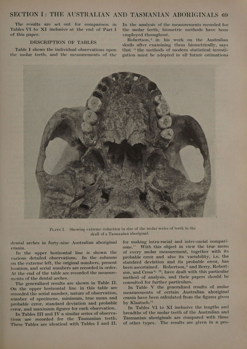 Tables VI to XI inclusive at the end of Part I of this paper. DESCRIPTION OF TABLES Table I shows the individual observations upon the molar teeth, and the measurements of the the molar teeth, biometrie methods have been employed throughout. Robertson,® in his work on the Australian skulls after examining them biometrically, says that (the methods of modern statistical investi- gation must be adopted in all future estimations dental arches in forty-nine Australian aboriginal erania. In the upper horizontal line is shown the ‘arious detailed observations. In the columns on the extreme left, the original numbers, present location, and serial numbers are recorded in order. At the end of the table are recorded the measure- ments of the dental arches. The generalized results are shown in Table II. On the upper horizontal line in this table are recorded the serial number, nature of observation, number of specimens, minimum, true mean and probable error, standard deviation and probable error, and maximum figures for each observation. In Tables III and IV a similar series of observa- tions are recorded for the Tasmanian teeth. These Tables are identical with Tables I and IT. for making intra-racial and inter-racial compari- sons. With this object in view the true mean of every molar measurement, together with its probable error and also its variability, i.e. the standard deviation and its probable error, has been ascertained. Robertson,’ and Berry, Robert- son, and Cross? 1, have dealt with this particular method of analysis, and their papers should be consulted for further particulars. In Table V the generalized results of molar measurements of certain Australian aboriginal crania have been calculated from the figures given by Klaatsch.* In Tables VI to XI inclusive the lengths and breadths of the molar teeth of the Australian and Tasmanian aboriginals are compared with those of other types. The results are given in a pro-