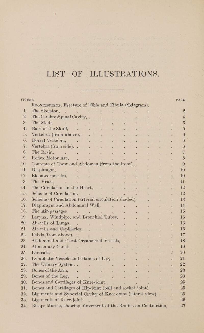 LIST OF ILLUSTRATIONS. FRONTISPIECE, Fracture of Tibia and Fibula (Skiagram). The Skeleton, The Cerebro-Spinal Cae , : The Skull, : . : : . Base of the Skull, Vertebra (from above), Dorsal Vertebra, Vertebra (from side), . The Brain, Reflex Motor Are, Contents of Chest and hen Te he fr ee Diaphragm, Blood-corpuscles, The Heart, The Circulation in te oat Scheme of Circulation, : Scheme of Circulation (arterial Cleats shadoch, Diaphragm and Abdominal Wall, The Air-passages, Larynx, Windpipe, and Benuobiel ‘Tihs Air-cells of Lungs, Air-cells and Capillaries, Pelvis (from above), : Abdominal and Chest Organs aaa Wieaacls Alimentary Canal, Lacteals, . Lymphatic Vessels a iinas of oe ‘ The Urinary System, . Bones of the Arm, Bones of the Leg, Bones and Cartilages of Knee- ois Bones and Cartilages of Hip-joint (ball and sonket join), Ligaments and Synovial Cavity of Knee- joint Teer view), . Ligaments of Knee-joint, Biceps Muscle, showing Movement of ne Pencils on Contraction: PAGE Cot DS HD St Ot — bo