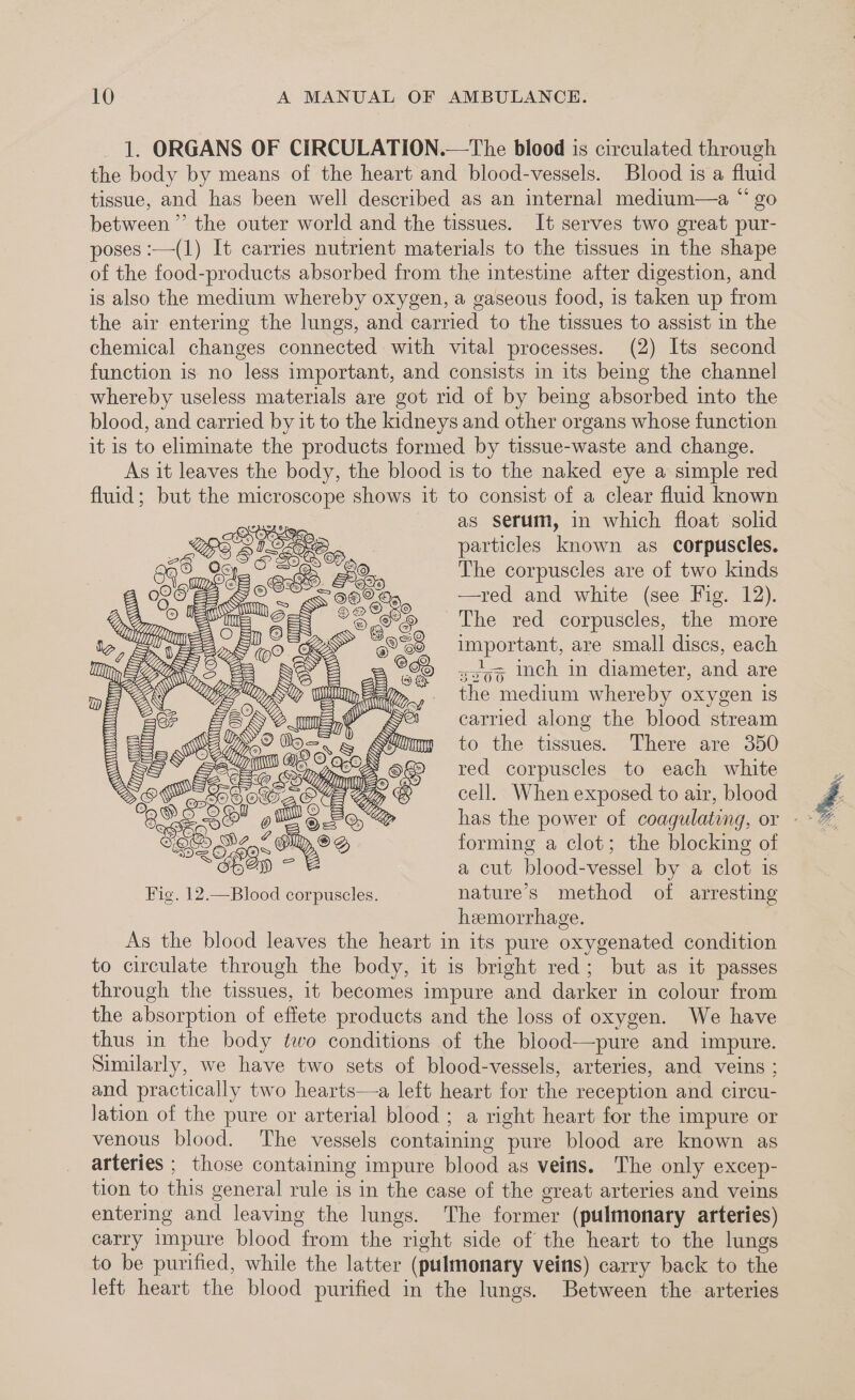 1. ORGANS OF CIRCULATION.—The blood is circulated through the body by means of the heart and blood-vessels. Blood is a fluid tissue, and has been well described as an internal medium—a “ go between ”’ the outer world and the tissues. It serves two great pur- poses :—(1) It carries nutrient materials to the tissues in the shape of the food-products absorbed from the intestine after digestion, and is also the medium whereby oxygen, a gaseous food, is taken up from the air entering the lungs, and carried to the tissues to assist in the chemical changes connected with vital processes. (2) Its second function is no less important, and consists in its being the channel whereby useless materials are got rid of by being absorbed into the blood, and carried by it to the kidneys and other organs whose function it is to eliminate the products formed by tissue-waste and change. As it leaves the body, the blood is to the naked eye a simple red fluid; but the microscope shows it to consist of a clear fluid known as serum, in which float solid particles known as corpuscles. The corpuscles are of two kinds jOO —red and white (see Fig. 12). 6 The red corpuscles, the more gooo important, are small discs, each 5 so9% Inch in diameter, and are the medium whereby oxygen 1s carried along the blood stream to the tissues. There are 350 red corpuscles to each white cell. When exposed to air, blood has the power of coagulating, or forming a clot; the blocking of a cut blood-vessel by a clot is Fig. 12.—Blood corpuscles. nature's method of arresting hemorrhage. . As the blood leaves the heart in its pure oxygenated condition to circulate through the body, it is bright red; but as it passes through the tissues, it becomes impure and darker in colour from the absorption of effete products and the loss of oxygen. We have thus in the body two conditions of the blood—pure and impure. Similarly, we have two sets of blood-vessels, arteries, and veins ; and practically two hearts—a left heart for the reception and circu- lation of the pure or arterial blood ; a right heart for the impure or venous blood. The vessels containing pure blood are known as arteries ; those containing impure blood as veins. The only excep- tion to this general rule is in the case of the great arteries and veins entering and leaving the lungs. The former (pulmonary arteries) carry impure blood from the right side of the heart to the lungs to be purified, while the latter (pulmonary veins) carry back to the left heart the blood purified in the lungs. Between the arteries y Ay, d S UY SIe2 y ) om OW) TAN i = 0000 rT 3 Wine)