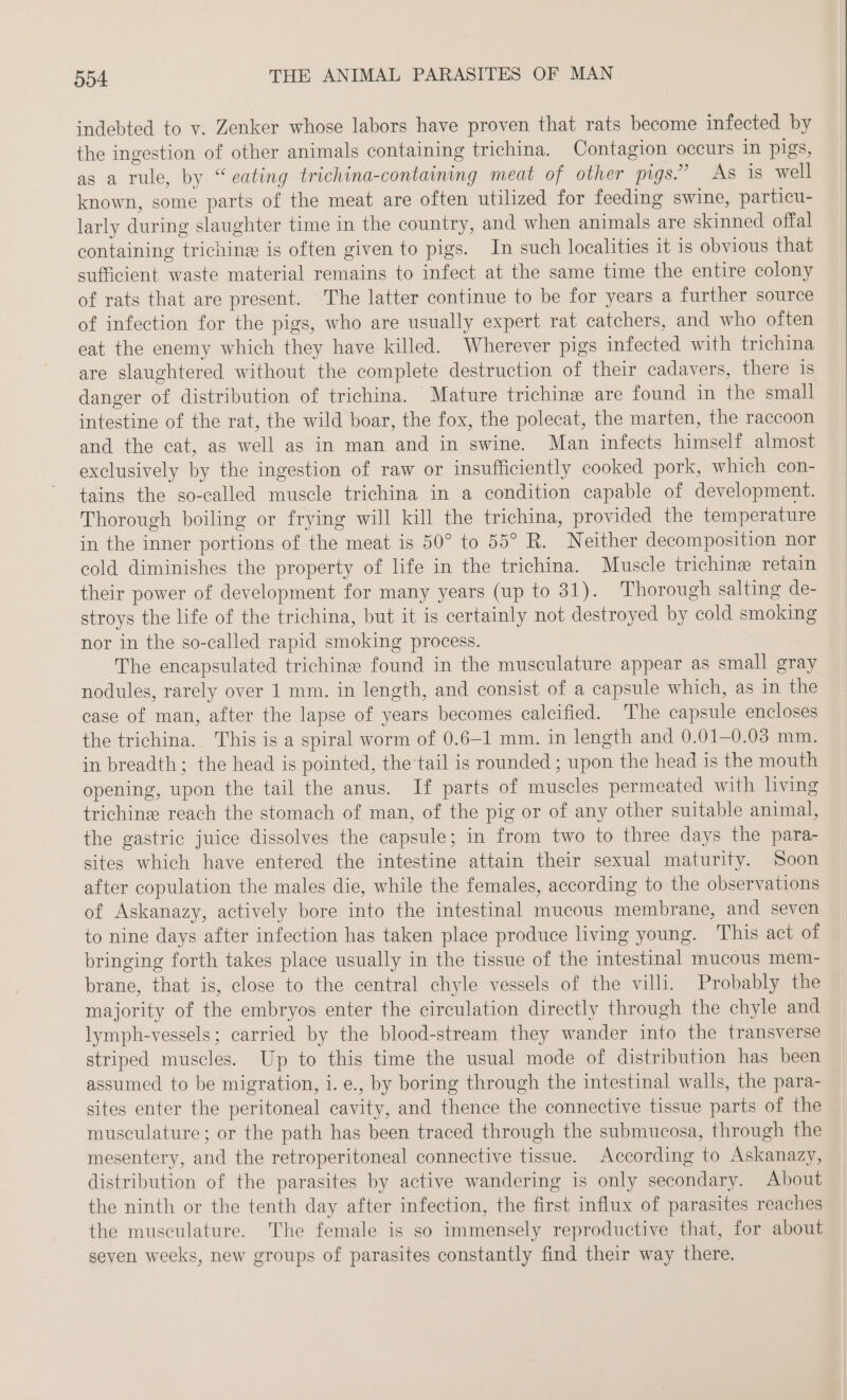 indebted to v. Zenker whose labors have proven that rats become infected by the ingestion of other animals containing trichina. Contagion occurs in pigs, as a rule, by “eating trichina-containing meat of other pigs.” As is well known, some parts of the meat are often utilized for feeding swine, particu- larly during slaughter time in the country, and when animals are skinned offal containing trichin is often given to pigs. In such localities it is obvious that sufficient waste material remains to infect at the same time the entire colony of rats that are present. The latter continue to be for years a further source of infection for the pigs, who are usually expert rat catchers, and who often eat the enemy which they have killed. Wherever pigs infected with trichina are slaughtered without the complete destruction of their cadavers, there is danger of distribution of trichina. Mature trichine are found in the small intestine of the rat, the wild boar, the fox, the polecat, the marten, the raccoon and the cat, as well as in man and in swine. Man infects himself almost exclusively by the ingestion of raw or insufficiently cooked pork, which con- tains the so-called muscle trichina in a condition capable of development. Thorough boiling or frying will kill the trichina, provided the temperature in the inner portions of the meat is 50° to 55° R. Neither decomposition nor cold diminishes the property of life in the trichina. Muscle trichine retain their power of development for many years (up to 31). Thorough salting de- stroys the life of the trichina, but it is certainly not destroyed by cold smoking nor in the so-called rapid smoking process. The encapsulated trichine found in the musculature appear as small gray nodules, rarely over 1 mm. in length, and consist of a capsule which, as in the case of man, after the lapse of years becomes calcified. The capsule encloses the trichina. This is a spiral worm of 0.6-1 mm. in length and 0.01-0.03 mm. in breadth; the head is pointed, the tail is rounded ; upon the head is the mouth opening, upon the tail the anus. If parts of muscles permeated with living trichine reach the stomach of man, of the pig or of any other suitable animal, the gastric juice dissolves the capsule; in from two to three days the para- sites which have entered the intestine attain their sexual maturity. Soon after copulation the males die, while the females, according to the observations of Askanazy, actively bore into the intestinal mucous membrane, and seven to nine days after infection has taken place produce living young. This act of bringing forth takes place usually in the tissue of the intestinal mucous mem- brane, that is, close to the central chyle vessels of the villi. Probably the majority of the embryos enter the circulation directly through the chyle and lymph-vessels; carried by the blood-stream they wander into the transverse striped muscles. Up to this time the usual mode of distribution has been assumed to be migration, i. e., by boring through the intestinal walls, the para- sites enter the peritoneal cavity, and thence the connective tissue parts of the musculature ; or the path has been traced through the submucosa, through the mesentery, and the retroperitoneal connective tissue. According to Askanazy, distribution of the parasites by active wandering is only secondary. About the ninth or the tenth day after infection, the first influx of parasites reaches the musculature. The female is so immensely reproductive that, for about seven weeks, new groups of parasites constantly find their way there.