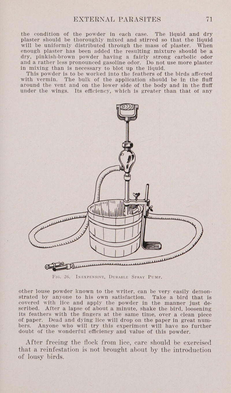 the condition of the powder in each case. The liquid and dry plaster should be thoroughly mixed and stirred so that the liquid will be uniformly distributed through the mass of plaster. When enough plaster has been added the resulting mixture should be a dry, pinkish-brown powder having a fairly strong carbolic odor and a rather less pronounced gasoline odor. Do not use more plaster in mixing than is necessary to blot up the liquid. This powder is to be worked into the feathers of the birds affected with vermin. The bulk of the application should be in the fluff around the vent and on the lower side of the body and in the fluff under the wings. Its efficiency, which is greater than that of any other louse powder known to the writer, can be very easily demon- strated by anyone to his own satisfaction. Take a bird that is covered with lice and apply the powder in the manner just de- scribed. After a lapse of about a minute, shake the bird, loosening its feathers with the fingers at the same time, over a clean piece of paper. Dead and dying lice will drop on the paper in great num- bers. Anyone who will try this experiment will have no further doubt of the wonderful efficiency and value of this powder. After freeing the flock from lice, care should be exercised that a reinfestation is not brought about by the introduction of lousy birds.