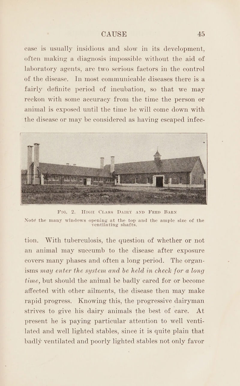 ease 1s usually insidious and slow in its development, often making a diagnosis impossible without the aid of laboratory agents, are two serious factors in the control of the disease. In most communicable diseases there is a fairly definite period of ineubation, so that we may reckon with some accuracy from the time the person or animal is exposed until the time he will come down with the disease or may be considered as having escaped infee- Noté the many windows opening at the top and the ample size of the ventilating shafts. tion. With tuberculosis, the question of whether or not an animal may succumb to the disease after exposure covers many phases and often a long period. The organ- isms may enter the system and be held in check for a long time, but should the animal be badly cared for or become affected with other ailments, the disease then may make rapid progress. Knowing this, the progressive dairyman strives to give his dairy animals the best of care. At present he is paying particular attention to well venti- lated and well lighted stables, since it is quite plain that badly ventilated and poorly hghted stables not only favor