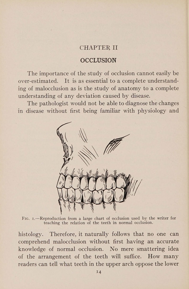 CHAPTER II OCCLUSION The importance of the study of occlusion cannot easily be over-estimated. It is as essential to a complete understand- ing of malocclusion as is the study of anatomy to a complete understanding of any deviation caused by disease. The pathologist would not be able to diagnose the changes in disease without first being familiar with physiology and Fic. 1.—Reproduction from a large chart of occlusion used by the writer for teaching the relation of the teeth in normal occlusion. histology. Therefore, it naturally follows that no one can comprehend malocclusion without first having an accurate knowledge of normal occlusion. No mere smattering idea of the arrangement of the teeth will suffice. How many readers can tell what teeth in the upper arch oppose the lower