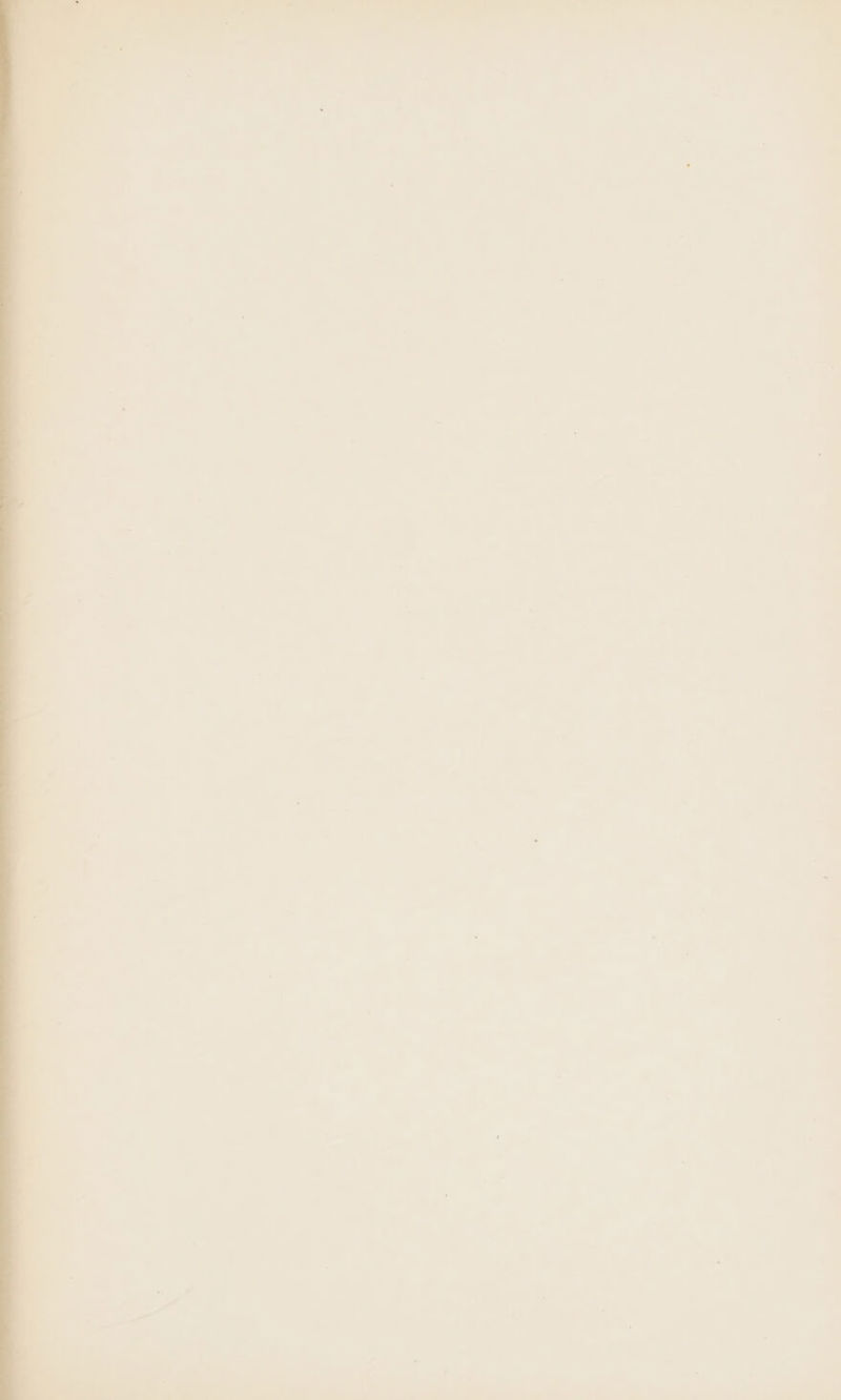 F 7 - —_ a k ; ; = - v &gt; 7 7: 7 . ‘ ~ ; . fs A . ~ \ , ‘ ’ &gt; a : zs ( B