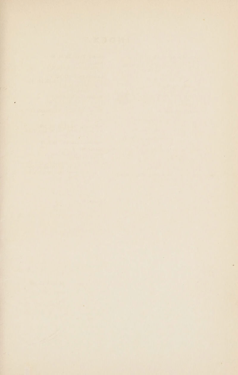 wie =. Ti ah le! 7 a f 4 Ces é\) aeene 4 ur ihe ape mpalibaieds a1 Wilt of Ty ; a Ra} aan : 5 eale “yassty TA ; ae ca, es »