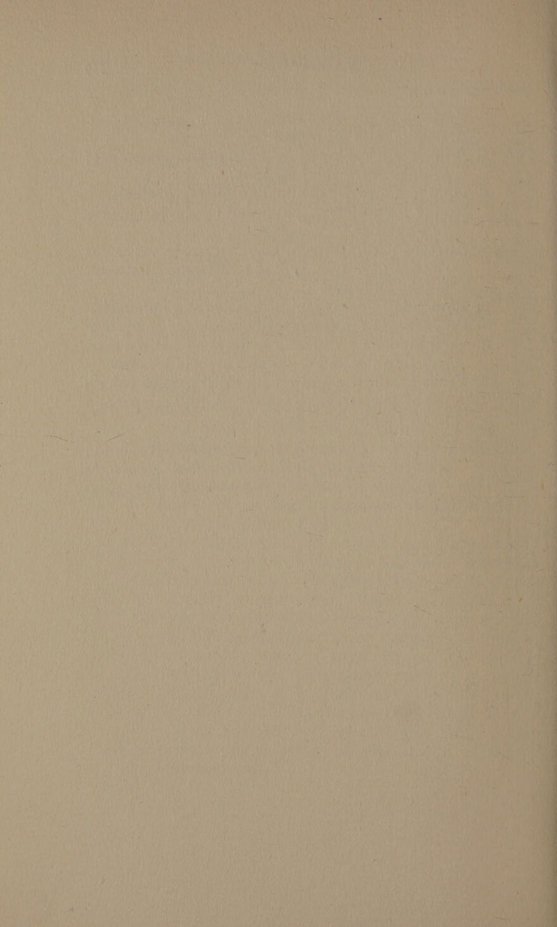 if ‘ ie Se ne Oat ae!