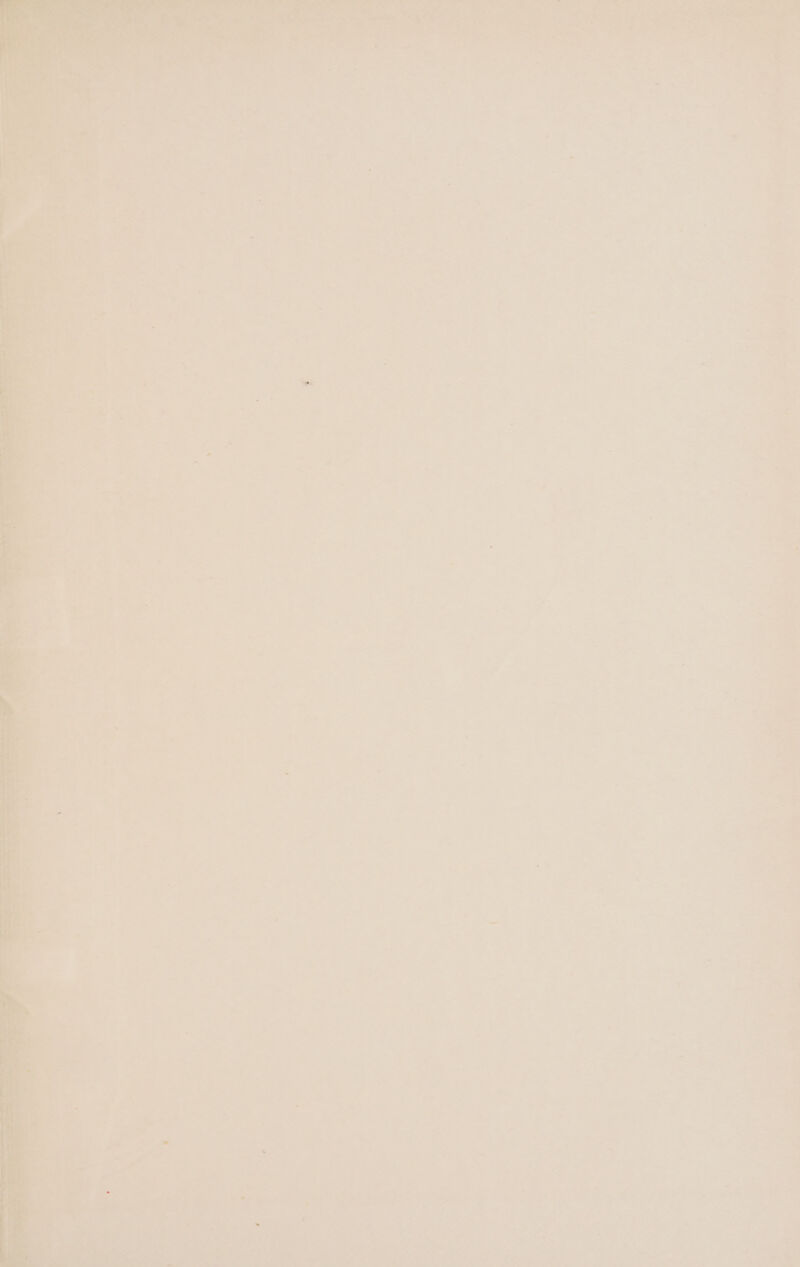 a8 A s vy is , ' a ~ Wee ae iol iS