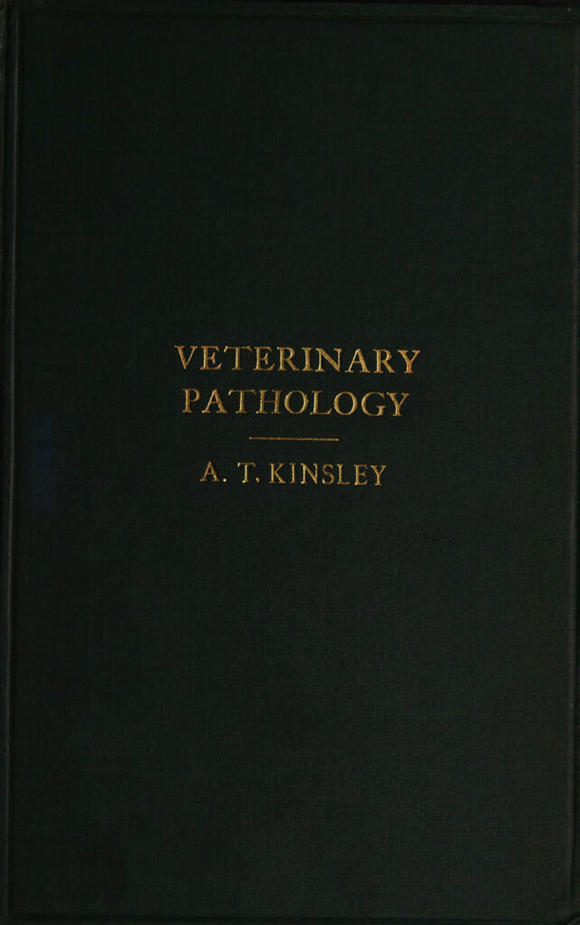 digitised image 1
