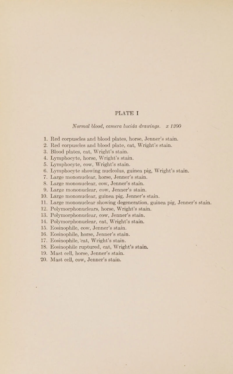 OMNIA Ti wD Blood plates, cat, Wright’s stain. Large mononuclear, horse, Jenner’s stain. Large mononuclear, cow, Jenner’s stain.