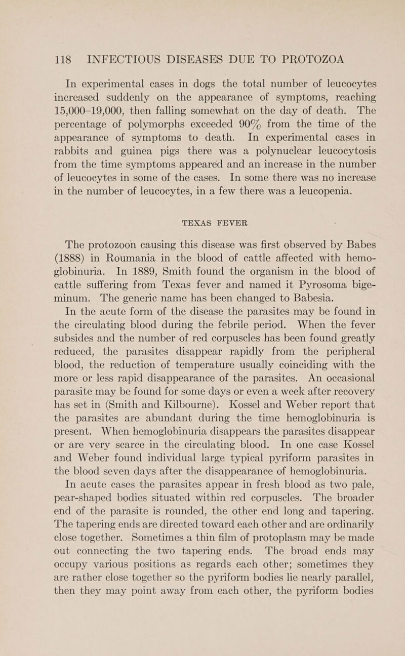 In experimental cases in dogs the total number of leucocytes increased suddenly on the appearance of symptoms, reaching 15,000-19,000, then falling somewhat on the day of death. The percentage of polymorphs exceeded 90% from the time of the appearance of symptoms to death. In experimental cases in rabbits and guinea pigs there was a polynuclear leucocytosis from the time symptoms appeared and an increase in the number of leucocytes in some of the cases. In some there was no increase in the number of leucocytes, in a few there was a leucopenia. TEXAS FEVER The protozoon causing this disease was first observed by Babes (1888) in Roumania in the blood of cattle affected with hemo- globinuria. In 1889, Smith found the organism in the blood of cattle suffering from Texas fever and named it Pyrosoma bige- minum. The generic name has been changed to Babesia. In the acute form of the disease the parasites may be found in the circulating blood during the febrile period. When the fever subsides and the number of red corpuscles has been found greatly reduced, the parasites disappear rapidly from the peripheral blood, the reduction of temperature usually coinciding with the more or less rapid disappearance of the parasites. An occasional parasite may be found for some days or even a week after recovery has set in (Smith and Kilbourne). Kossel and Weber report that the parasites are abundant during the time hemoglobinuria is present. When hemoglobinuria disappears the parasites disappear or are very scarce in the circulating blood. In one case Kossel and Weber found individual large typical pyriform parasites in the blood seven days after the disappearance of hemoglobinuria. In acute cases the parasites appear in fresh blood as two pale, pear-shaped bodies situated within red corpuscles. The broader end of the parasite is rounded, the other end long and tapering. The tapering ends are directed toward each other and are ordinarily close together. Sometimes a thin film of protoplasm may be made out connecting the two tapering ends. The broad ends may occupy various positions as regards each other; sometimes they are rather close together so the pyriform bodies lie nearly parallel, then they may point away from each other, the pyriform bodies
