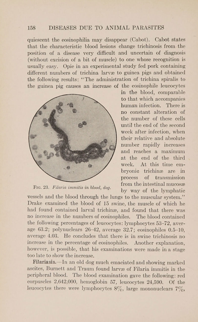 quiescent the eosinophilia may disappear (Cabot). Cabot states that the characteristic blood lesions change trichinosis from the position of a disease very difficult and uncertain of diagnosis (without excision of a bit of muscle) to one whose recognition is usually easy. Opie in an experimental study fed pork containing different numbers of trichina larve to guinea pigs and obtained the following results: “‘The administration of trichina spiralis to the guinea pig causes an increase of the eosinophile leucocytes in the blood, comparable to that which accompanies human infection. There is no constant alteration of the number of these cells until the end of the second week after infection, when their relative and absolute number rapidly increases and reaches a maximum at the end of the third week. At this time em- bryonic trichine are in process of transmission from the intestinal mucosze by way of the lymphatic vessels and the blood through the lungs to the muscular system.” Drake examined the blood of 15 swine, the muscle of which he had found contained larval trichine, and found that there was no increase in the numbers of eosinophiles. The blood contained the following percentages of leucocytes: lymphocytes 53-72, aver- age 63.2; polynuclears 26-42, average 32.7; eosinophiles 0.5-10, average 4.03. He concludes that there is in swine trichinosis no increase in the percentage of eosinophiles. Another explanation, however, is possible, that his examinations were made ina stage too late to show the increase. Filariasis.—In an old dog much emaciated and showing marked ascites, Burnett and Traum found larve of Filaria immitis in the peripheral blood. The blood examination gave the following: red corpuscles 2,642,000, hemoglobin 57, leucocytes 24,590. Of the leucocytes there were lymphocytes 8%, large mononuclears 7%,