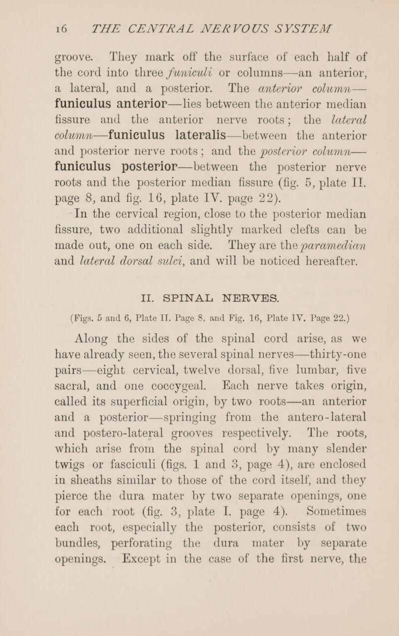 groove. They mark off the surface of each half of the cord into three funiculi or columns——an anterior, a lateral, and a posterior. The anterior column— funiculus anterior—lies between the anterior median fissure and the anterior nerve roots; the lateral column—funieulus lateralis—between the anterior and posterior nerve roots; and the posterior column— funiculus posterior—between the posterior nerve roots and the posterior median fissure (fig. 5, plate IT. page 8, and fig. 16, plate IV. page 22). -In the cervical region, close to the posterior median fissure, two additional slightly marked clefts can be made out, one on each side. They are the paramedian and lateral dorsal sulci, and will be noticed hereafter. II. SPINAL NERVES. (Figs. 5 and 6, Plate II. Page 8, and Fig. 16, Plate IV. Page 22.) Along the sides of the spinal cord arise, as we have already seen, the several spinal nerves—thirty-one pairs—eight cervical, twelve dorsal, five lumbar, five sacral, and one coccygeal. Each nerve takes origin, called its superficial origin, by two roots—an anterior and a posterior—springing from the antero-lateral and postero-lateral grooves respectively. The roots, which arise from the spinal cord by many slender twigs or fasciculi (figs. 1 and 3, page 4), are enclosed in sheaths similar to those of the cord itself, and they pierce the dura mater by two separate openings, one for each root (fig. 3, plate I. page 4). Sometimes each root, especially the posterior, consists of two bundles, perforating the dura mater by separate openings. Except in the case of the first nerve, the