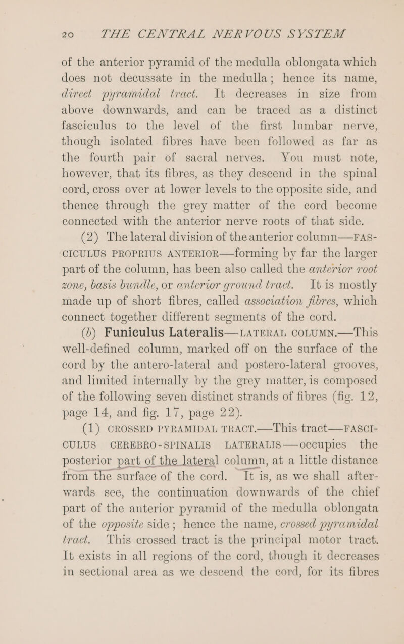 of the anterior pyramid of the medulla oblongata which does not decussate in the medulla; hence its name, direct pyramidal tract. It decreases in size from above downwards, and can be traced as a distinct fasciculus to the level of the first lumbar nerve, though isolated fibres have been followed as far as the fourth pair of sacral nerves. You must note, however, that its fibres, as they descend in the spinal cord, cross over at lower levels to the opposite side, and thence through the grey matter of the cord become connected with the anterior nerve roots of that side. (2) The lateral division of the anterior column—FASs- CICULUS PROPRIUS ANTERIOR—forming by far the larger part of the column, has been also called the anterior root zone, basis bundle, or anterior ground tract. It is mostly made up of short fibres, called association fibres, which connect together different segments of the cord. (6) Funiculus Lateralis—LATERAL CoLUMN.—This well-defined column, marked off on the surface of the cord by the antero-lateral and postero-lateral grooves, and limited internally by the grey matter, is composed of the following seven distinct strands of fibres (fig. 12, page 14, and fig, 17, page 22). (1) CROSSED PYRAMIDAL TRACT.—This tract—FASCI- CULUS CEREBRO-SPINALIS LATERALIS—occupies the posterior part of the lateral column, at a little distance from the surface of the cord. It is, as we shall after- wards see, the continuation downwards of the chief part of the anterior pyramid of the medulla oblongata of the opposite side; hence the name, crossed pyramidal tract. This crossed tract is the principal motor tract. It exists in all regions of the cord, though it decreases in sectional area as we descend the cord, for its fibres