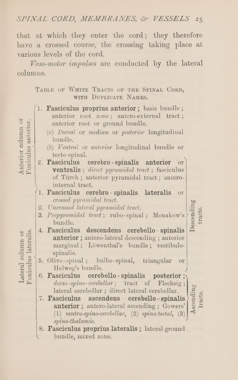 that at which they enter the cord; they therefore have a crossed course, the crossing taking place at various levels of the cord. Vaso-motor impulses are conducted by the lateral columus. TABLE OF WHITE TRACTS OF THE SPINAL CORD, WITH DuPLIcATE NAMES. Va ‘1. Fasciculus proprius anterior ; basis bundle ; anterior root zone; antero-external tract ; anterior root or ground bundle. («) Dorsal or median or posterior longitudinal bundle. (b) Ventral or anterior longitudinal bundle or tecto-spinal. 2. Fasciculus cerebro-spinalis anterior or ventralis ; direct pyramidal tract ; fasciculus of Turck ; anterior pyramidal tract ; antero- . Anterior column or Funiculus anterior. internal tract. \ (1. Fasciculus cerebro-spinalis lateralis or crossed pyramidal tract. oN 2. Uncrossed lateral pyramidal tract. 5 a 3. Prepyramidal tract; raubo-spinal; Monakow’s; &amp; &amp; bundle. Z B 4, Fasciculus descendens cerebello - spinalis | A anterior ; antero-lateral descending ; anterior marginal; Lowenthal’s bundle; vestibulo- spinalis. ai . : . . . Olivo-spinal ; bulbo-spinal, triangular or Helweg’s bundle. ) 6. Fasciculus cerebello-spinalis posterior ; dorso-spino-cerebellar; tract of Flechsig ; lateral cerebellar ; direct lateral cerebellar. . Fasciculus ascendens_ cerebello - spinalis ; anterior ; antero-lateral ascending ; Gowers’ (1) ventro-spino-cerebellar, (2) spino-tectal, (3) spvno-thalame. 8. Fasciculus proprius lateralis ; lateral ground \ bundle, mixed zone. Lateral column or Funiculus lateralis. Or y oS ~I Ascendins tracts