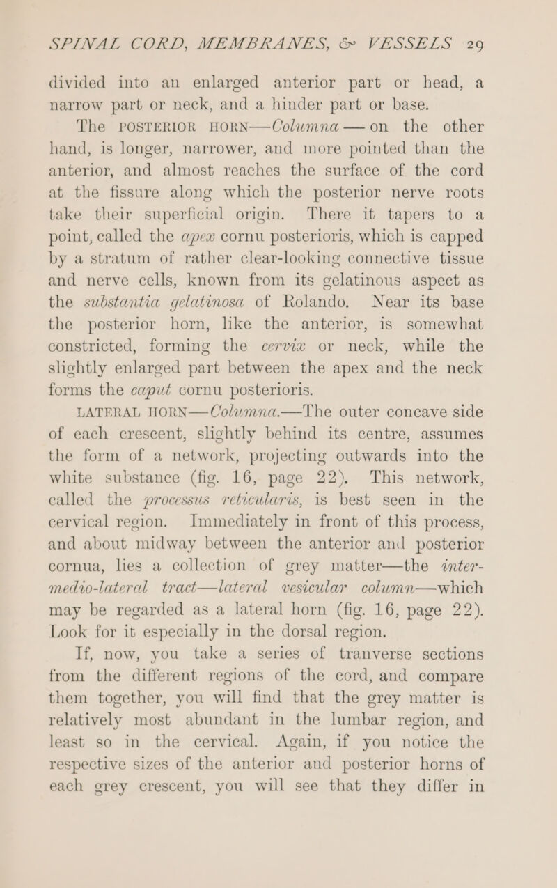 divided into an enlarged anterior part or head, a narrow part or neck, and a hinder part or base. The POSTERIOR HORN—Colwmna— on the other hand, is longer, narrower, and more pointed than the anterior, and almost reaches the surface of the cord at the fissure along which the posterior nerve roots take their superficial origin. There it tapers to a point, called the apex cornu posterioris, which is capped by a stratum of rather clear-looking connective tissue and nerve cells, known from its gelatinous aspect as the substantia gelatinosa of Rolando. Near its base the posterior horn, like the anterior, is somewhat constricted, forming the cervix or neck, while the slightly enlarged part between the apex and the neck forms the caput cornu posterioris. LATERAL HORN—Colwmna.—The outer concave side of each crescent, slightly behind its centre, assumes the form of a network, projecting outwards into the white substance (fig. 16, page 22). This network, called the processus reticularis, is best seen in the cervical region. Immediately in front of this process, and about midway between the anterior and posterior cornua, lies a collection of grey matter—the inter- medto-lateral tract—lateral vesicular column—which may be regarded as a lateral horn (fig. 16, page 22). Look for it especially in the dorsal region. If, now, you take a series of tranverse sections from the different regions of the cord, and compare them together, you will find that the grey matter is relatively most abundant in the lumbar region, and least so in the cervical. Again, if you notice the respective sizes of the anterior and posterior horns of each grey crescent, you will see that they differ in