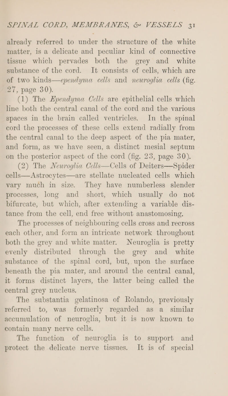 already referred to under the structure of the white matter, is a delicate and pecuhar kind of connective tissue which pervades both the grey and_ white substance of the cord. It consists of cells, which are of two kinds—ependyma cells and neuroglia cells (fig. 27, page 30). (1) The Hpendyma Cells are epithelial cells which line both the central canal of the cord and the various spaces in the brain called ventricles. In the spinal cord the processes of these cells extend radially from the central canal to the deep aspect of the pia mater, and form, as we have seen, a distinct mesial septum on the posterior aspect of the cord (fig. 23, page 30). (2) The Neuroglia Cells—Cells of Deiters—Spider cells—Astrocytes—are stellate nucleated cells which vary much in size. They have numberless slender processes, long and_ short, which usually do not bifurcate, but which, after extending a variable dis- tance from the cell, end free without anastomosing, The processes of neighbouring cells cross and recross each other, and form an intricate network throughout both the grey and white matter. Neuroglia is pretty evenly distributed through the grey and _ white substance of the spinal cord, but, upon the surface beneath the pia mater, and around the central canal, it forms distinct layers, the latter being called the central grey nucleus. The substantia gelatinosa of Rolando, previously referred to, was formerly regarded as a_ similar accumulation of neurogla, but it is now known to contain many nerve cells. The function of neuroglia is to support and protect the delicate nerve tissues. It is of special