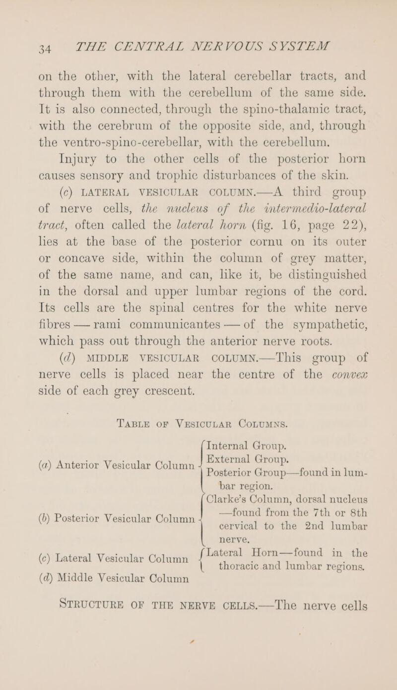 on the other, with the lateral cerebellar tracts, and through them with the cerebellum of the same side. It is also connected, through the spino-thalamic tract, with the cerebrum of the opposite side, and, through the ventro-spino-cerebellar, with the cerebellum. Injury to the other cells of the posterior horn causes sensory and trophic disturbances of the skin. (c) LATERAL VESICULAR COLUMN.—A third group of nerve cells, the nucleus of the wtermedio-lateral tract, often called the lateral horn (fig. 16, page 22), hes at the base of the posterior cornu on its outer or concave side, within the column of grey matter, of the same name, and can, lke it, be distinguished in the dorsal and upper lumbar regions of the cord. Its cells are the spinal centres for the white nerve fibres — rami communicantes —of the sympathetic, which pass out through the anterior nerve roots. (&lt;) MIDDLE VESICULAR COLUMN.—This group of nerve cells is placed near the centre of the convex side of each grey crescent. TABLE OF VESICULAR COLUMNS. Internal Group. External Group. Posterior Group—found in lum- bar region. Clarke’s Column, dorsal nucleus —found from the 7th or 8th cervical to the 2nd lumbar nerve. f Lateral Horn—found in the | thoracic and lumbar regions. (a) Anterior Vesicular Column (b) Posterior Vesicular Column (c) Lateral Vesicular Column (d) Middle Vesicular Column STRUCTURE OF THE NERVE CELLS.—The nerve cells