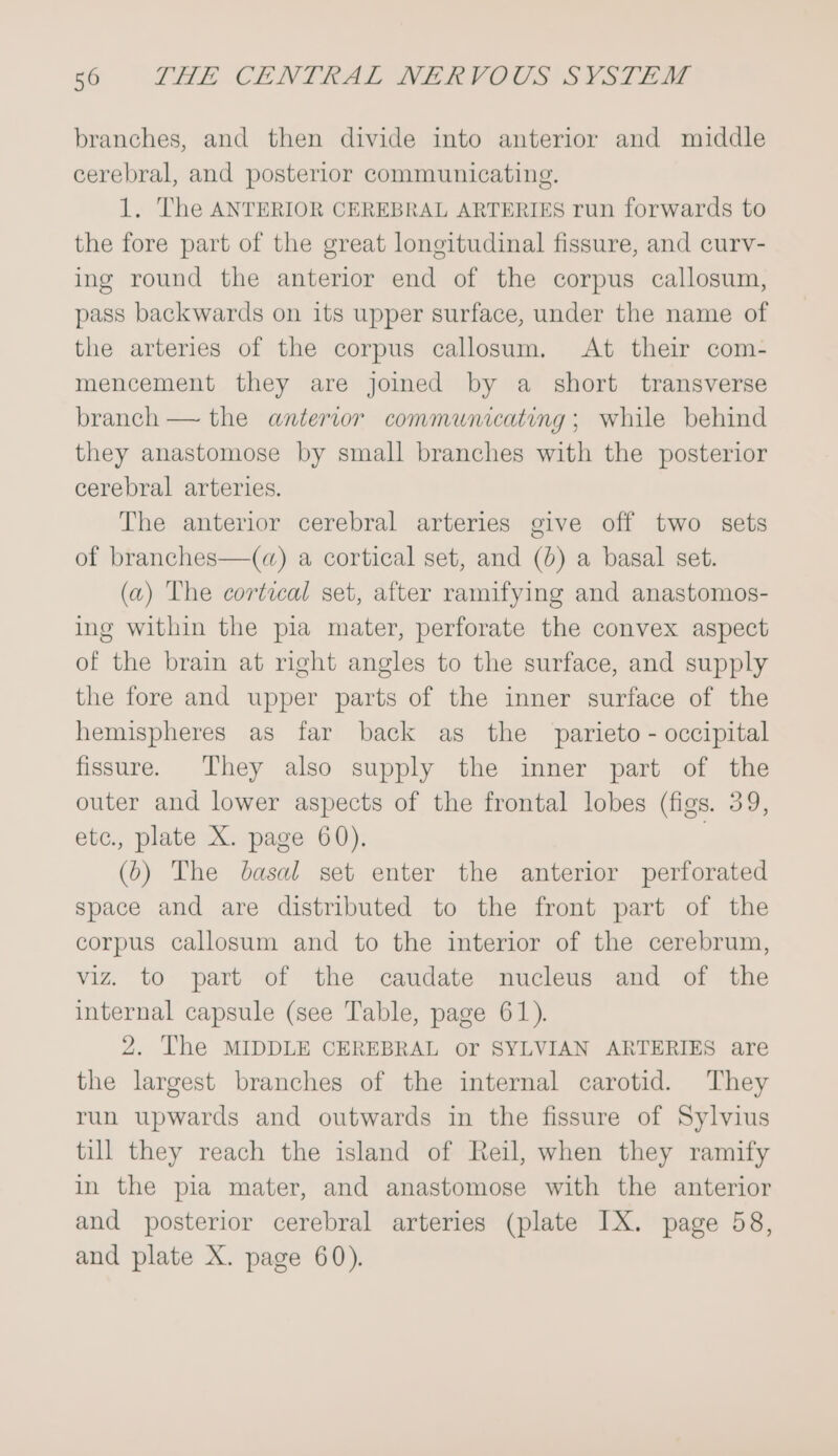 branches, and then divide into anterior and middle cerebral, and posterior communicating. 1. The ANTERIOR CEREBRAL ARTERIES run forwards to the fore part of the great longitudinal fissure, and curv- ing round the anterior end of the corpus callosum, pass backwards on its upper surface, under the name of the arteries of the corpus callosum. At their com- mencement they are jomed by a short transverse branch — the anterior communicating; while behind they anastomose by small branches with the posterior cerebral arteries. The anterior cerebral arteries give off two sets of branches—(q) a cortical set, and (0) a basal set. (a) The cortical set, after ramifying and anastomos- ing within the pia mater, perforate the convex aspect of the brain at right angles to the surface, and supply the fore and upper parts of the inner surface of the hemispheres as far back as the parieto - occipital fissure. They also supply the inner part of the outer and lower aspects of the frontal lobes (figs. 39, etc., plate X. page 60). } (b) The basal set enter the anterior perforated space and are distributed to the front part of the corpus callosum and to the interior of the cerebrum, viz. to part of the caudate nucleus and of the internal capsule (see Table, page 61). 2. The MIDDLE CEREBRAL or SYLVIAN ARTERIES are the largest branches of the internal carotid. They run upwards and outwards in the fissure of Sylvius till they reach the island of Reil, when they ramify in the pia mater, and anastomose with the anterior and posterior cerebral arteries (plate IX. page 58, and plate X. page 60).