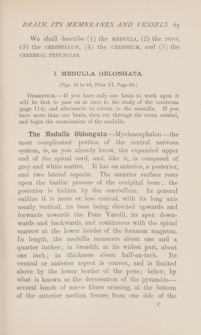 We shall describe (1) the MEDULLA, (2) the PONS, (3) the CEREBELLUM, (4) the CEREBRUM, and (5) the CEREBRAL PEDUNCLES. I. MEDULLA OBLONGATA. (Figs. 43 to 46, Plate XI. Page 66.) DissEctIon.—If you have only one brain to work upon it will be best to pass on at once to the study of the cerebrum (page 114) and afterwards to return to the medulla. If you have more than one brain, then cut through the crura cerebri, and begin the examination of the medulla. The Medulla Oblongata—Myelencephalon—the most complicated portion of the central nervous system, is, as you already know, the expanded upper end of the spinal cord, and, like it, is composed of grey and white matter. It has an anterior, a posterior, and two lateral aspects. The anterior surface rests upon the basilar process of the occipital bone; the posterior is hidden by the cerebellum. In general outline it is more or less conical, with its long axis nearly vertical, its base being directed upwards and forwards towards the Pons Varolu, its apex down- wards and backwards, and continuous with the spinal marrow at the lower border of the foramen magnum. In length, the medulla measures about one and a quarter inches; in breadth, at its widest part, about one inch; in thickness about half-an-inch. Its ventral or anterior aspect is convex, and is limited above by the lower border of the pons; below, by what is known as the decussation of the pyramids— several bands of nerve fibres crossing, at the bottom of the anterior median fissure, from one side of the r