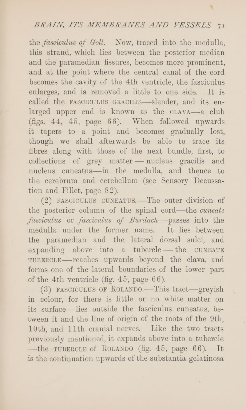 the fasciculus of Goll. Now, traced into the medulla, this strand, which lies between the posterior median and the paramedian fissures, becomes more prominent, and at the point where the central canal of the cord becomes the cavity of the 4th ventricle, the fasciculus enlarges, and is removed a little to one side. It is called the FASCICULUS GRACILIS—slender, and its en- larged upper end is known as the cLAVA—a club (figs. 44, 45, page 66). When followed upwards it tapers to a point and becomes gradually lost, though we shall afterwards be able to trace its fibres along with those of the next bundle, first, to collections of grey matter— nucleus gracilis and nucleus cuneatus—in the medulla, and thence to the cerebrum and cerebellum (see Sensory Decussa- tion and Fillet, page 82). (2) FASCICULUS CUNEATUS.—The outer division of the posterior column of the spinal cord—the cuneate fasciculus or fasciculus of Biirdach—passes into the medulla under the former name. It lies between the paramedian and the lateral dorsal sulci, and expanding above into a_tubercle—the CUNEATE TUBERCLE—reaches upwards beyond the clava, and forms one of the lateral boundaries of the lower part of the 4th ventricle (fig. 45, page 66). (3) FASCICULUS OF RoLanpdo.—This tract—greyish in colour, for there is little or no white matter on its surface—lies outside the fasciculus cuneatus, be- tween it and the line of origin of the roots of the 9th, 10th, and 11th cranial nerves. Like the two tracts previously mentioned, it expands above into a tubercle —the TUBERCLE of ROLANDO (fig. 45, page 66). It is the continuation upwards of the substantia gelatinosa