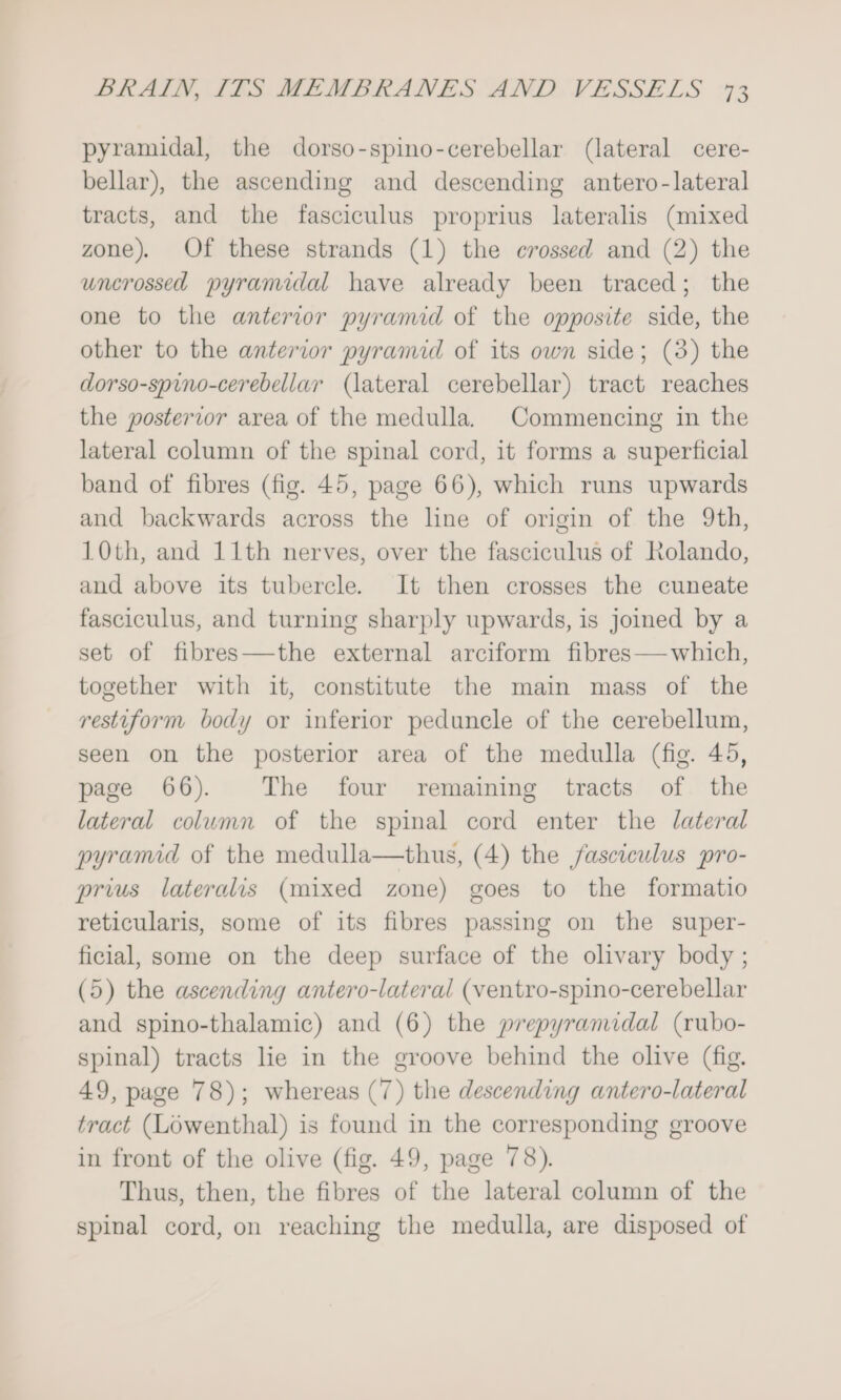 pyramidal, the dorso-spino-cerebellar (lateral cere- bellar), the ascending and descending antero-lateral tracts, and the fasciculus proprius lateralis (mixed zone) Of these strands (1) the crossed and (2) the uncrossed pyramidal have already been traced; the one to the anterior pyramid of the opposite side, the other to the anterior pyramid of its own side; (3) the dorso-spino-cerebellar (lateral cerebellar) tract reaches the posterior area of the medulla. Commencing in the lateral column of the spinal cord, it forms a superficial band of fibres (fig. 45, page 66), which runs upwards and backwards across the line of origin of the 9th, 10th, and 11th nerves, over the fasciculus of Rolando, and above its tubercle. It then crosses the cuneate fasciculus, and turning sharply upwards, is joined by a set of fibres—the external arciform fibres—which, together with it, constitute the main mass of the restiform body or inferior peduncle of the cerebellum, seen on the posterior area of the medulla (fig. 45, page 66). The four remaining tracts of the lateral column of the spinal cord enter the lateral pyramid of the medulla—thus, (4) the fasciculus pro- prius lateralis (mixed zone) goes to the formatio reticularis, some of its fibres passing on the super- ficial, some on the deep surface of the olivary body ; (5) the ascending antero-lateral (ventro-spino-cerebellar and spino-thalamic) and (6) the prepyramidal (rubo- spinal) tracts lie in the groove behind the olive (fig. 49, page 78); whereas (7) the descending antero-lateral tract (Lowenthal) is found in the corresponding groove in front of the olive (fig. 49, page 78). Thus, then, the fibres of the lateral column of the spinal cord, on reaching the medulla, are disposed of