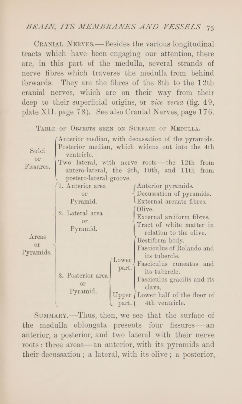 CRANIAL NERVES.— Besides the various longitudinal tracts which have been engaging our attention, there are, in this part of the medulla, several strands of nerve fibres which traverse the medulla from behind forwards. They are the fibres of the 8th to the 12th cranial nerves, which are on their way from their deep to their superficial origins, or vice versa (fig. 49, plate XII. page 78). See also Cranial Nerves, page 176. TABLE OF OBJECTS SEEN ON SURFACE OF MEDULLA. Anterior median, with decussation of the pyramids. Posterior median, which widens out into the 4th Sulci i ventricle. Fis iat _ |Two lateral, with nerve roots—the 12th from rs antero-lateral, the 9th, 10th, and 11th from \postero-lateral groove. (1. Anterior area Anterior pyramids. | or {Decassation of pyramids. Pyramid. External arcuate fibres. Olive. if aig a External arciform fibres. . Tract of white matter in Pyramid. lati so asia relation to the olive. praia Restiform body. ea + Fasciculus of Rolando and Pyramids. | ta ; its tubercle. Lower é Fasciculus cuneatus and part. : ; ; its tubercle. 3. Posterior area ; —- ; i Fasciculus gracilis and its Peaaia clava. y : Upper { Lower half of the floor of \ part.| 4th ventricle. SuMMARY.—Thus, then, we see that the surface of the medulla oblongata presents four fissures—an anterior, a posterior, and two lateral with their nerve roots: three areas—an anterior, with its pyramids and their decussation ; a lateral, with its olive; a posterior,