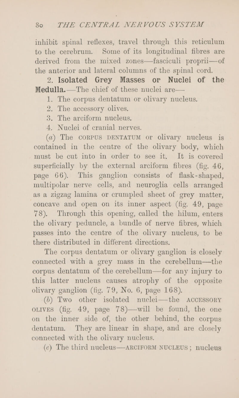 inhibit spinal reflexes, travel through this reticulum to the cerebrum. Some of its longitudinal fibres are derived from the mixed zones—fasciculi propri—of the anterior and lateral columns of the spinal cord. 2. Isolated Grey Masses or Nuclei of the Medulla.— The chief of these nuclei are— 1. The corpus dentatum or olivary nucleus. 2. The accessory olives. 3. The arciform nucleus. 4. Nuclei of cranial nerves. (a) The CORPUS DENTATUM or olivary nucleus is contained in the centre of the olivary body, which must be cut into in order to see it. It is covered superficially by the external arciform fibres (fig. 46, page 66). This ganglion consists of flask-shaped, multipolar nerve cells, and neuroglia cells arranged as a zigzag lamina or crumpled sheet of grey matter, concave and open on its inner aspect (fig. 49, page 78). Through this opening, called the hilum, enters the olivary peduncle, a bundle of nerve fibres, which passes into the centre of the olivary nucleus, to be there distributed in different directions. The corpus dentatum or olivary ganglion is closely connected with a grey mass in the cerebellum—the corpus dentatum of the cerebellum—for any injury to this latter nucleus causes atrophy of the opposite olivary ganglion (fie. 79, No. 6, page 168). (6) Two other isolated nuclei—the ACCESSORY OLIVES (fig. 49, page 78)—-will be found, the one on the inner side of, the other behind, the corpus dentatum. They are linear in shape, and are closely connected with the olivary nucleus. (c) The third nucleus—ARCIFORM NUCLEUS; nucleus