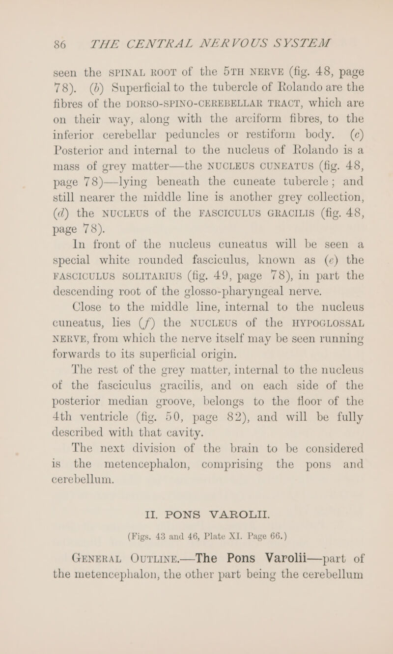 seen the SPINAL ROOT of the 5TH NERVE (fig. 48, page 78). (6) Superficial to the tubercle of Rolando are the fibres of the DORSO-SPINO-CEREBELLAR TRACT, which are on their way, along with the arciform fibres, to the inferior cerebellar peduncles or restiform body. (ce) Posterior and internal to the nucleus of Rolando is a mass of grey matter—the NUCLEUS CUNEATUS (fig. 48, page 78)—lying beneath the cuneate tubercle; and still nearer the middle line is another grey collection, (¢@) the NUCLEUS of the FASCICULUS GRACILIS (fig. 48, page 78). In front of the nucleus cuneatus will be seen a special white rounded fasciculus, known as (e) the FASCICULUS SOLITARIUS (fig. 49, page 78), in part the descending root of the glosso-pharyngeal nerve. Close to the middle line, internal to the nucleus cuneatus, lies (f/f) the NUCLEUS of the HYPOGLOSSAL NERVE, from which the nerve itself may be seen running forwards to its superficial origin. The rest of the grey matter, internal to the nucleus of the fasciculus gracilis, and on each side of the posterior median groove, belongs to the floor of the 4th ventricle (fig. 50, page 82), and will be fully described with that cavity. The next division of the brain to be considered is the metencephalon, comprising the pons and cerebellum. II. PONS VAROLII. (Figs. 43 and 46, Plate XI. Page 66.) GENERAL OUTLINE——The Pons Varolii—part of the metencephalon, the other part being the cerebellum