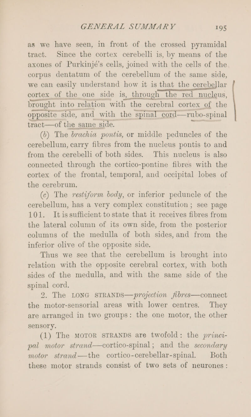 as we have seen, in front of the crossed pyramidal tract. Since the cortex cerebelli is, by means of the axones of Purkinje’s cells, joined with the cells of the corpus dentatum of the cerebellum of the same side, we can easily understand how it is that the cerebellar cortex of the one side is, through the red nucleus, brought into relation with the poraiasl cortex of the opposite ‘side, and with the ‘spinal, ‘eord—rubo- ‘spinal tract—of the same side. (6) The brachia pontis, or middle peduncles of the cerebellum, carry fibres from the nucleus pontis to and from the cerebelli of both sides. This nucleus is also connected through the cortico-pontine fibres with the cortex of the frontal, temporal, and occipital lobes of the cerebrum. (c) The restiform body, or inferior peduncle of the cerebellum, has a very complex constitution ; see page 101. Itissufficient to state that it receives fibres from the lateral column of its own side, from the posterior ecolumus of the medulla of both sides, and from the inferior olive of the opposite side. Thus we see that the cerebellum is brought into relation with the opposite cerebral cortex, with both sides of the medulla, and with the same side of the spinal cord. 2. The LONG STRANDS—vprojection jibres—connect the motor-sensorial areas with lower centres. They are arranged in two groups: the one motor, the other sensory. (1) The MOTOR STRANDS are twofold: the princi- pal motor strand—cortico-spinal; and the secondary motor strand—the cortico-cerebellar-spinal. Both these motor strands consist of two sets of neurones: