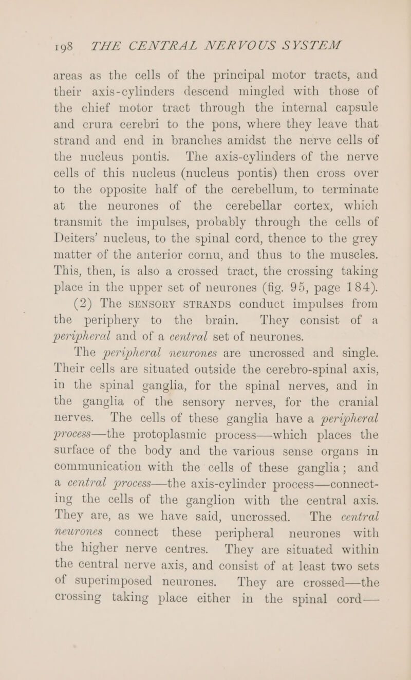 areas as the cells of the principal motor tracts, and their axis-cylinders descend mingled with those of the chief motor tract through the internal capsule and crura cerebri to the pons, where they leave that strand and end in branches amidst the nerve cells of the nucleus pontis. The axis-cylinders of the nerve cells of this nucleus (nucleus pontis) then cross over to the opposite half of the cerebellum, to terminate at the neurones of the cerebellar cortex, which transmit the impulses, probably through the cells of Deiters’ nucleus, to the spinal cord, thence to the grey matter of the anterior cornu, and thus to the muscles. This, then, is also a crossed tract, the crossing taking place in the upper set of neurones (fig. 95, page 184). (2) The SENSORY STRANDS conduct impulses from the periphery to the brain. They consist of a peripheral and of a central set of neurones. The peripheral neurones are uncrossed and single. Their cells are situated outside the cerebro-spinal axis, in the spinal ganglia, for the spinal nerves, and in the ganglia of the sensory nerves, for the cranial nerves. The cells of these ganglia have a peripheral process—the protoplasmic process—which places the surface of the body and the various sense organs in communication with the cells of these ganglia; and a central process—the axis-cylinder process—connect- ing the cells of the ganglion with the central axis. They are, as we have said, uncrossed. The central neurones connect these peripheral neurones with the higher nerve centres. They are situated within the central nerve axis, and consist of at least two sets of superimposed neurones. They are crossed—the crossing taking place either in the spinal cord—