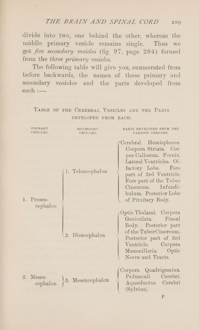 before backwards, the names of these primary and each :— PRIMARY SECONDARY VESICLES. VESICLES. (1. Telencephalon L. Prosen- cephalon 2. Diencephalon | 2. Mesen- \ | cephalon Mesencephalon ES PARTS DEVELOPED FROM THE VARIOUS VESICLES. Corpora Striata. Cor- pus Callosum. Fornix. Lateral Ventricles. Ol- factory Lobe. Fore part of 3rd Ventricle. Fore part of the Tuber Cinereum. Infundi- bulum. Posterior Lobe of Pituitary Body. Geniculata. Pineal Body. Posterior part of the Tuber Cinereum. Posterior part of 3rd Ventricle. Corpora Mammillaria. Optic Nerve and Tracts. Pedunculi Cerebri. Aqueeductus Cerebri (Sylvius). r