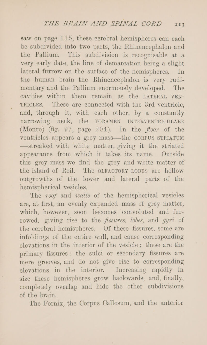 saw on page 115, these cerebral hemispheres can each be subdivided into two parts, the Rhinencephalon and the Pallium. ‘This subdivision is recognisable at a very early date, the line of demarcation being a slight lateral furrow on the surface of the hemispheres. In the human brain the Rhinencephalon is very rudi- mentary and the Pallium enormously developed. The cavities within them remain as the LATERAL VEN- TRICLES. These are connected with the 3rd ventricle, and, through it, with each other, by a constantly narrowing neck, the FORAMEN INTERVENTRICULARE (Monro) (fig. 97, page 204). In the floor of the ventricles appears a grey mass—the CORPUS STRIATUM —streaked with white matter, giving it the striated appearance from which it takes its name. Outside this grey mass we find the grey and white matter of the island of Reil. The OLFACTORY LOBES are hollow outgrowths of the lower and lateral parts of the hemispherical vesicles. The roof and walls of the hemispherical vesicles are, at first, an evenly expanded mass of grey matter, which, however, soon becomes convoluted and fur- rowed, giving rise to the fissures, lobes, and gyri of the cerebral hemispheres. Of these fissures, some are infoldings of the entire wall, and cause corresponding elevations in the interior of the vesicle; these are the primary fissures: the sulci or secondary fissures are mere grooves, and do not give rise to corresponding elevations in the interior. Increasing rapidly in size these hemispheres grow backwards, and, finally, completely overlap and hide the other subdivisions of the brain. The Fornix, the Corpus Callosum, and the anterior